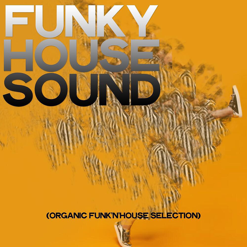Tony Hub - Funky Traslator (Funkhouse Mix)