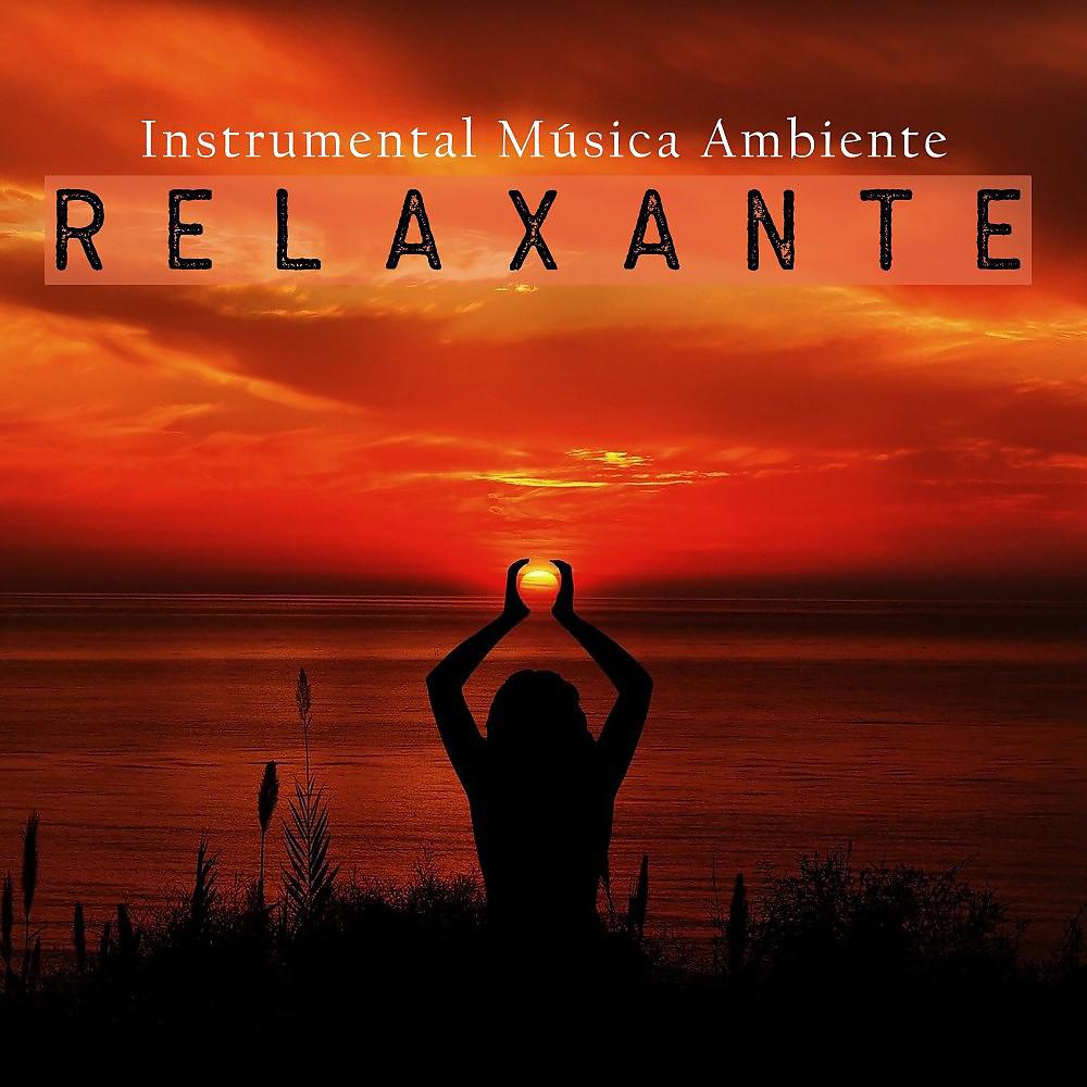 Постер альбома Instrumental: Música Ambiente Relaxante