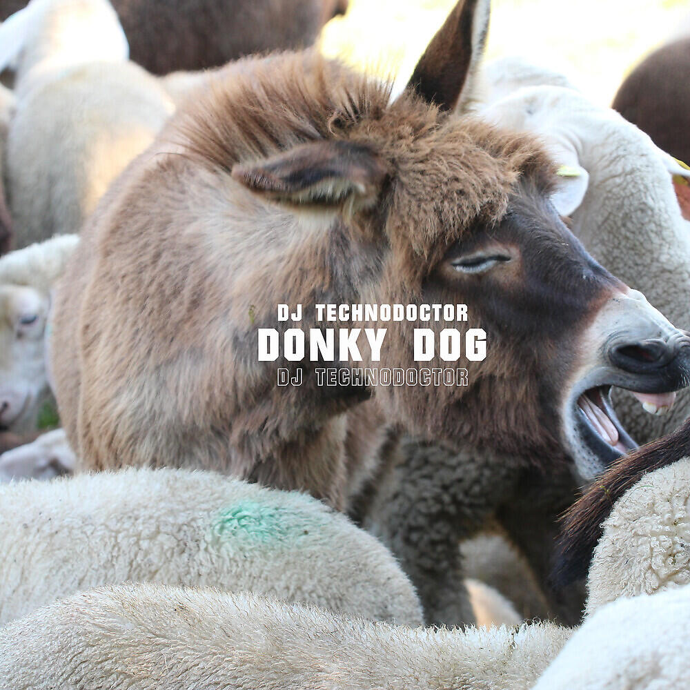 Dj Technodoctor - Donky Dog