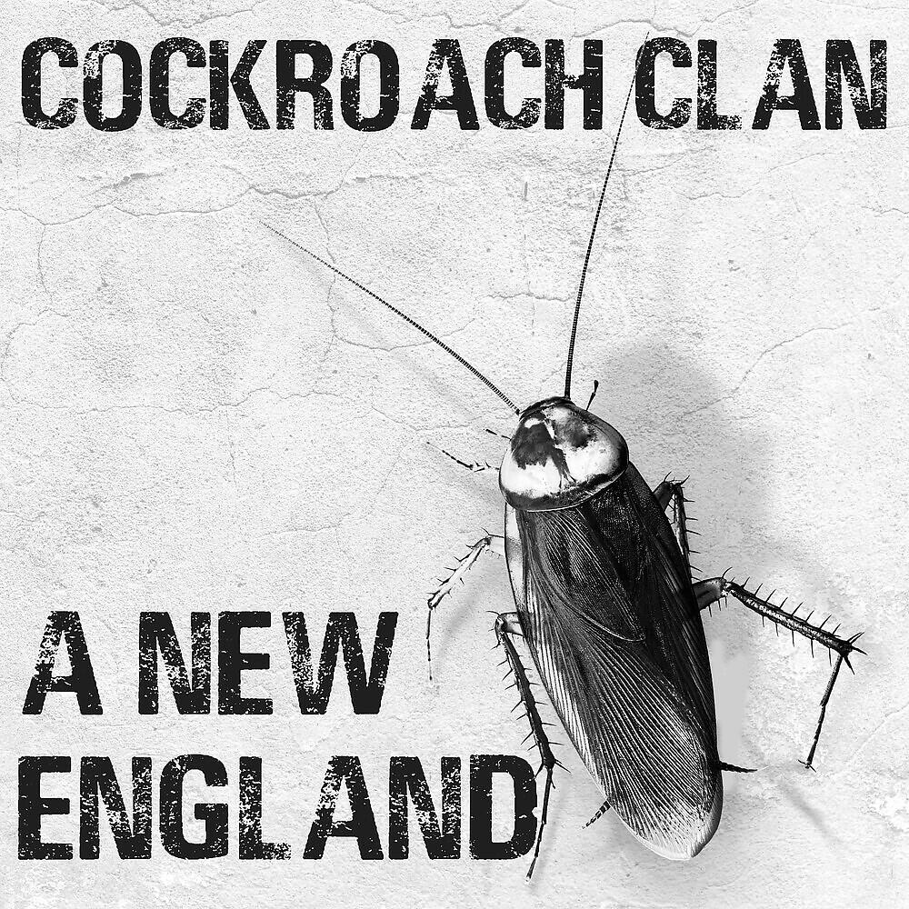 Cockroach Clan - A New England