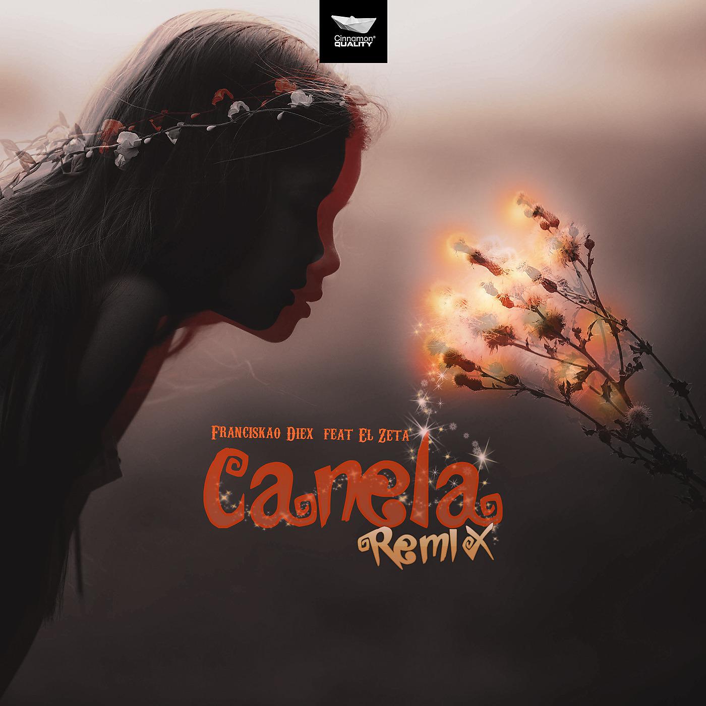 Постер альбома Canela (Remix)
