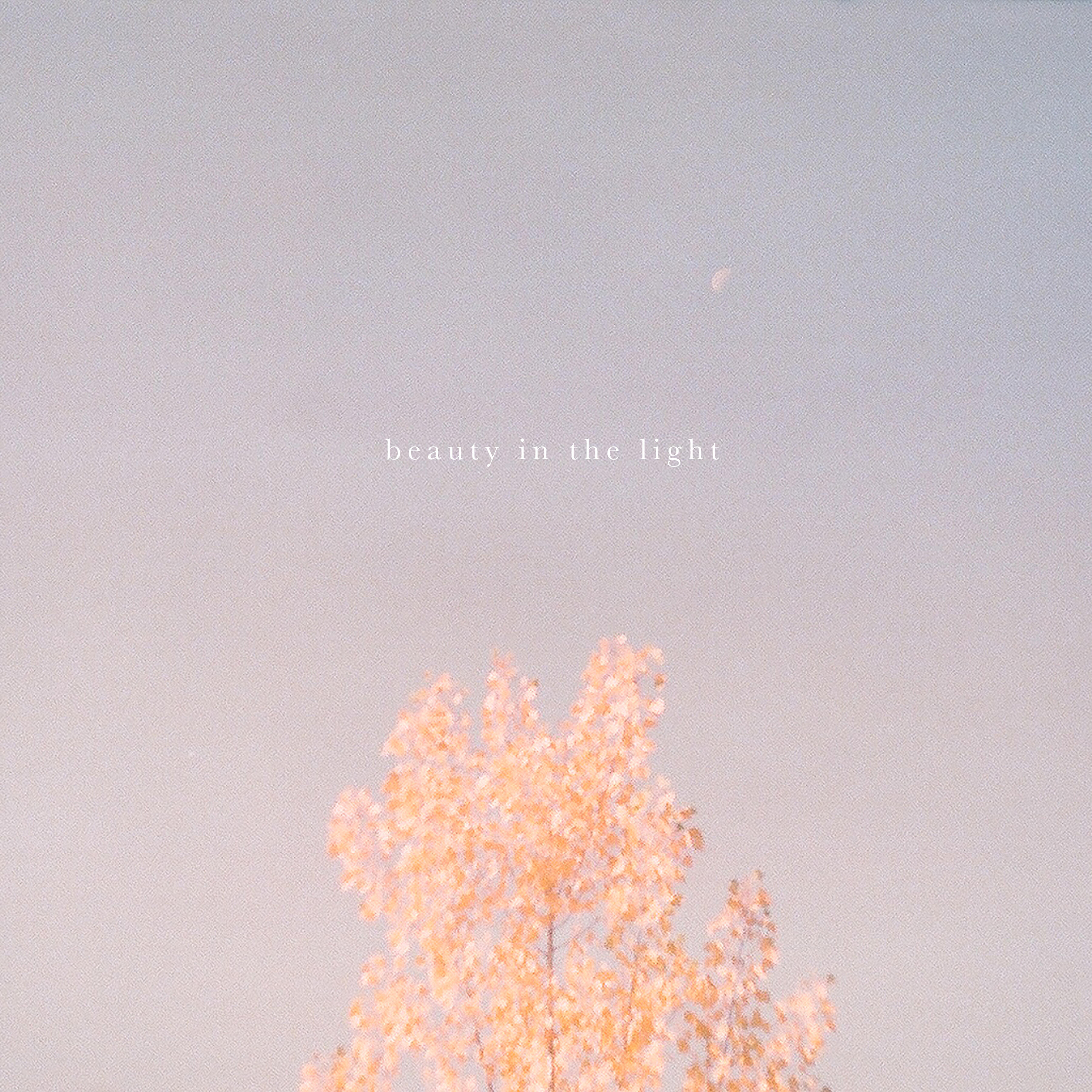 Hollow Coves - Beauty in the Light (Acoustic)