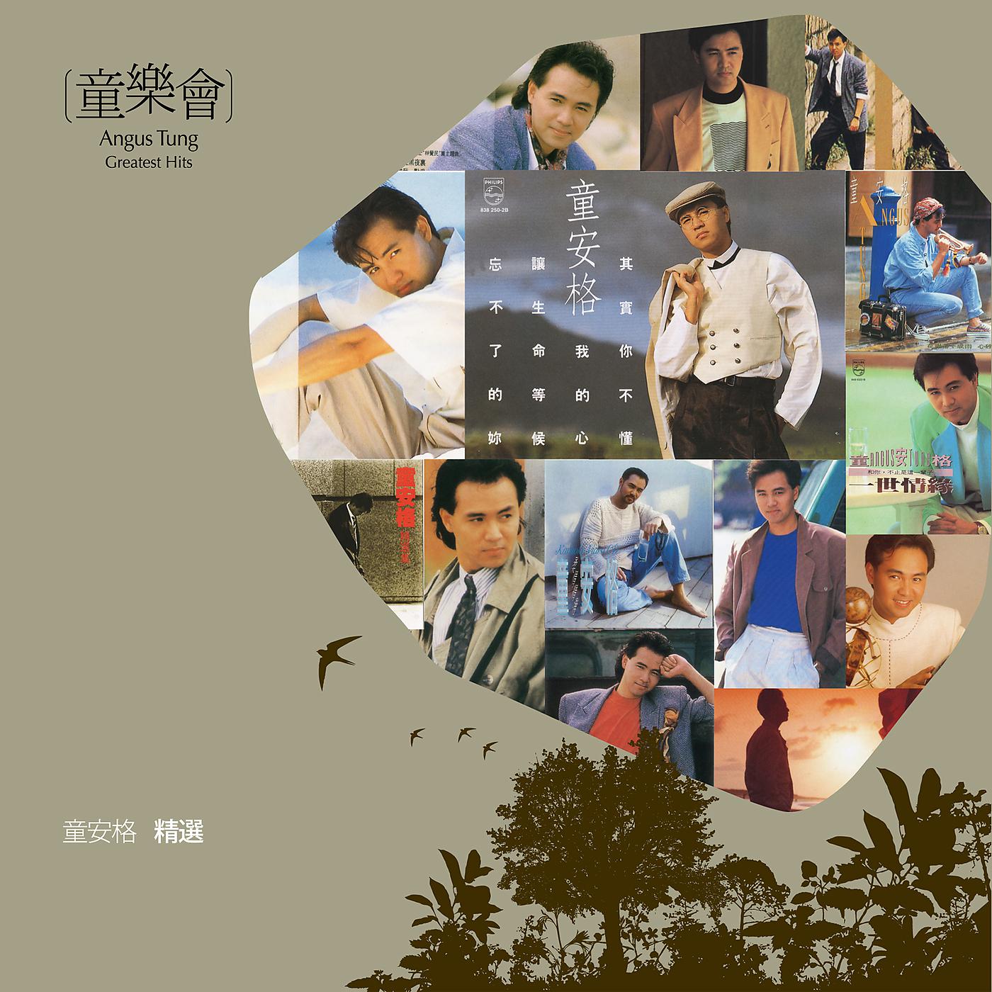 Постер альбома Mandarin Greatest Hits Of Angus Tung