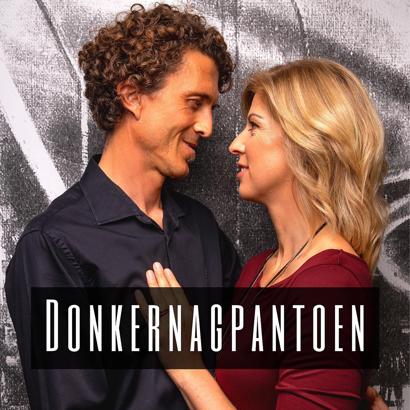 Постер альбома Donkernagpantoen