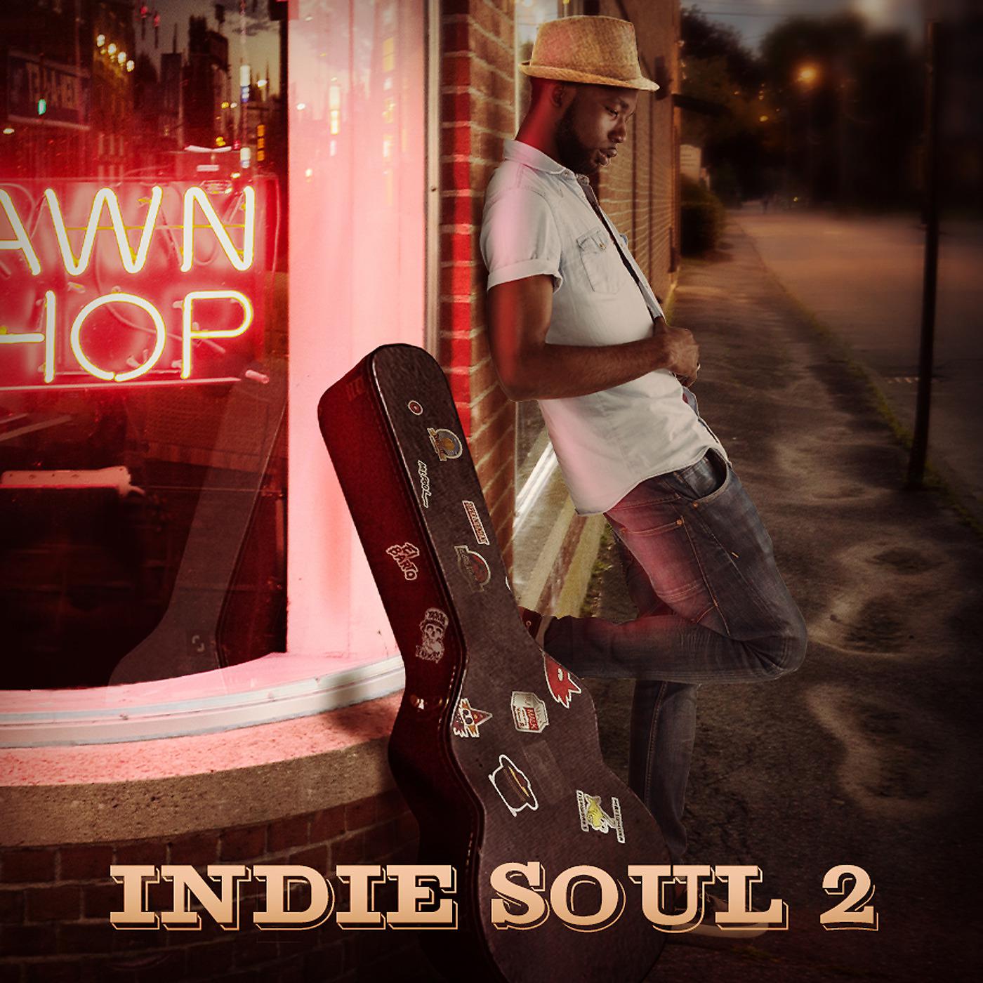 Постер альбома Indie Soul 2