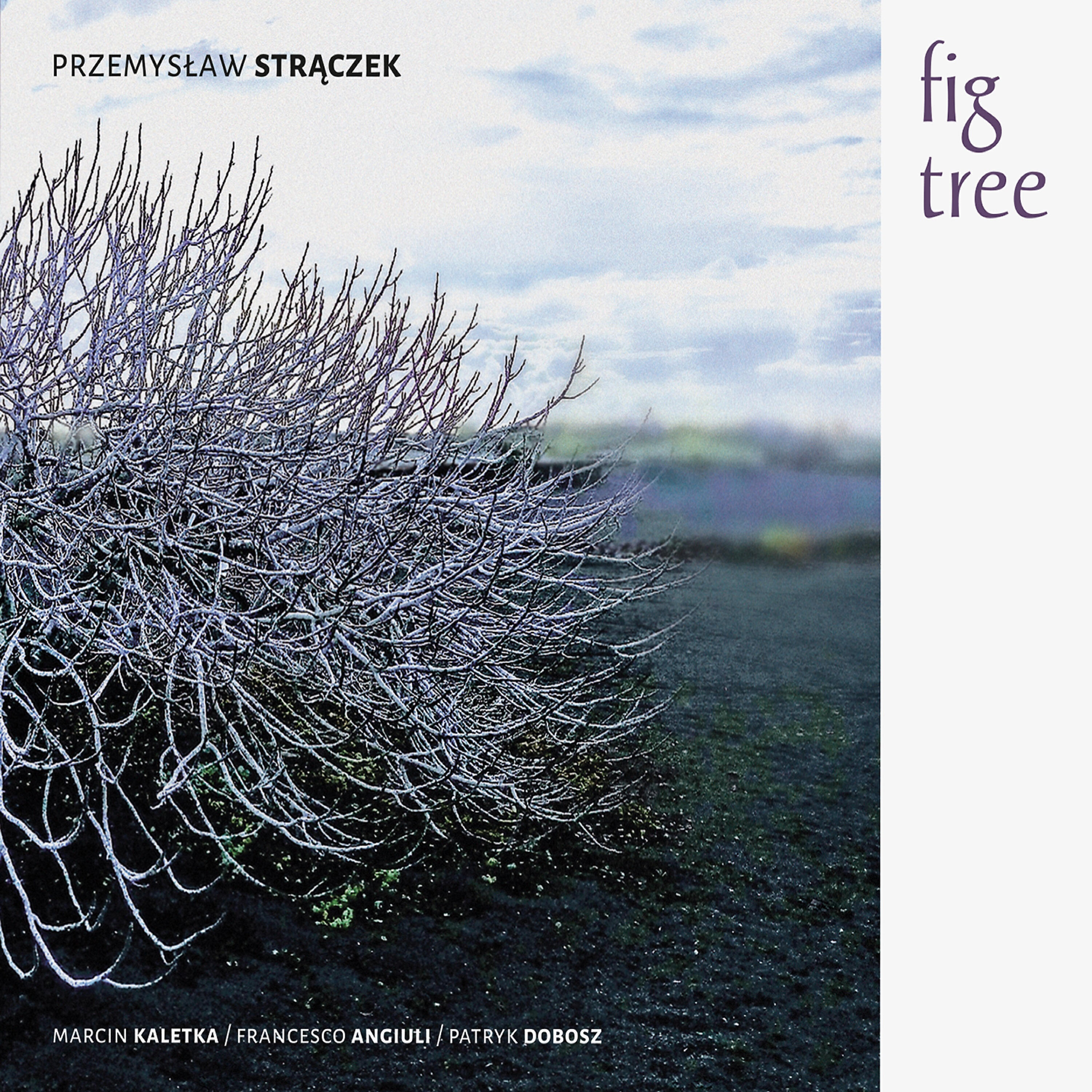 Przemysław Strączek - Dualistic