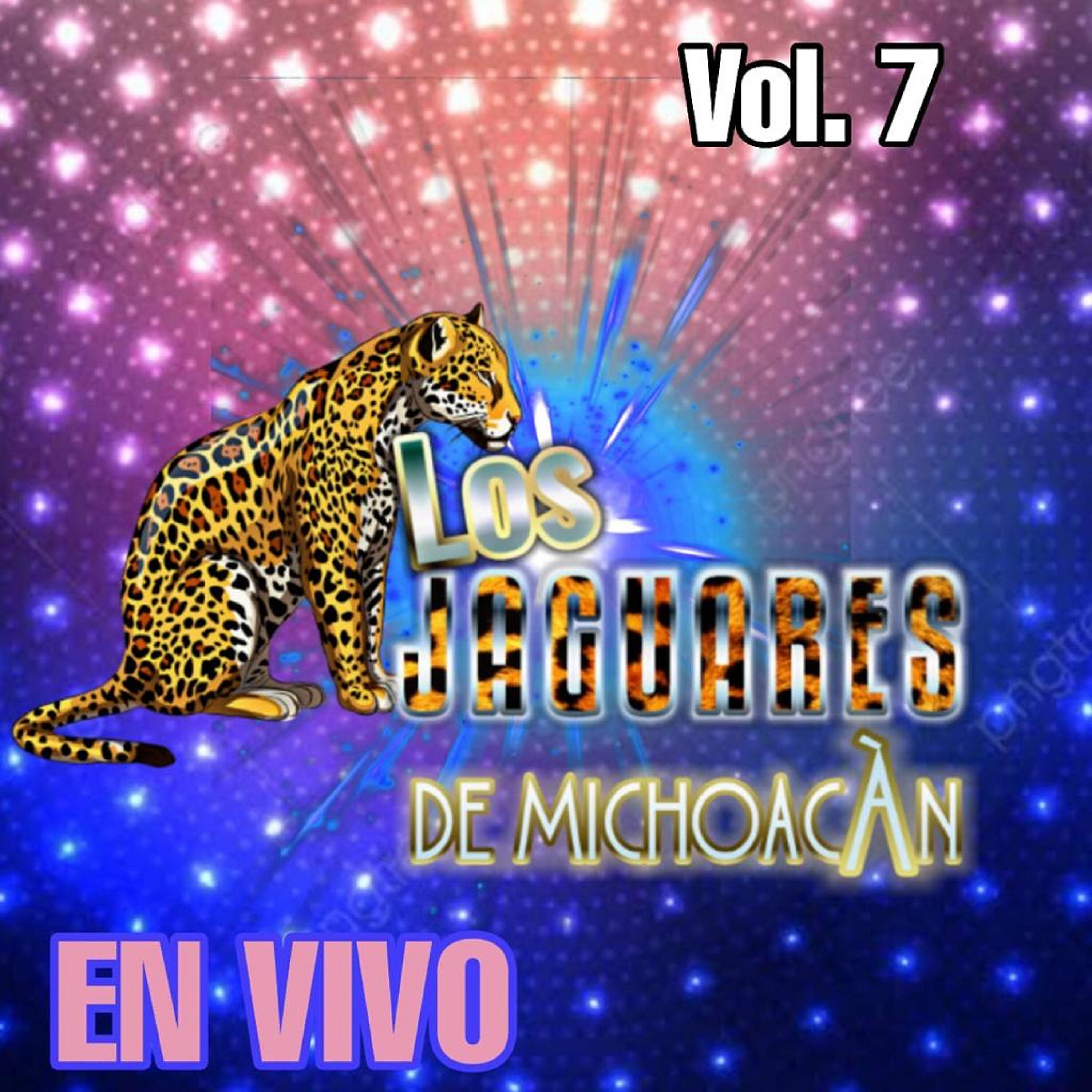 Los Jaguares De Michoacan - Amorcito Mio (En Vivo)