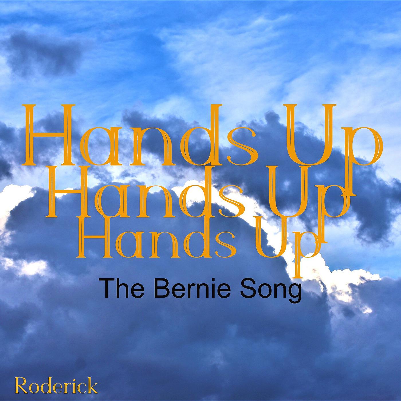 Постер альбома Hands up (The Bernie Song)