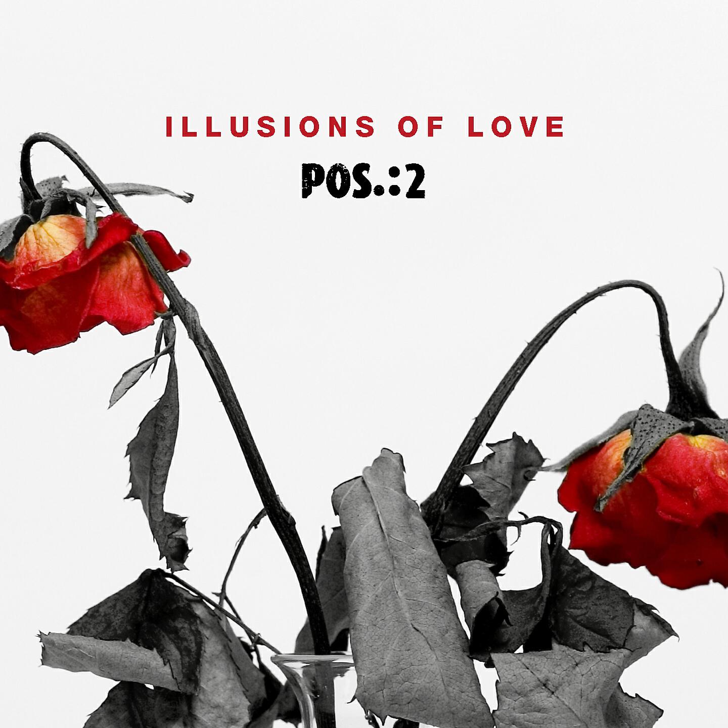 POS.:2 - Illusions of Love (DiarBlack Remix)