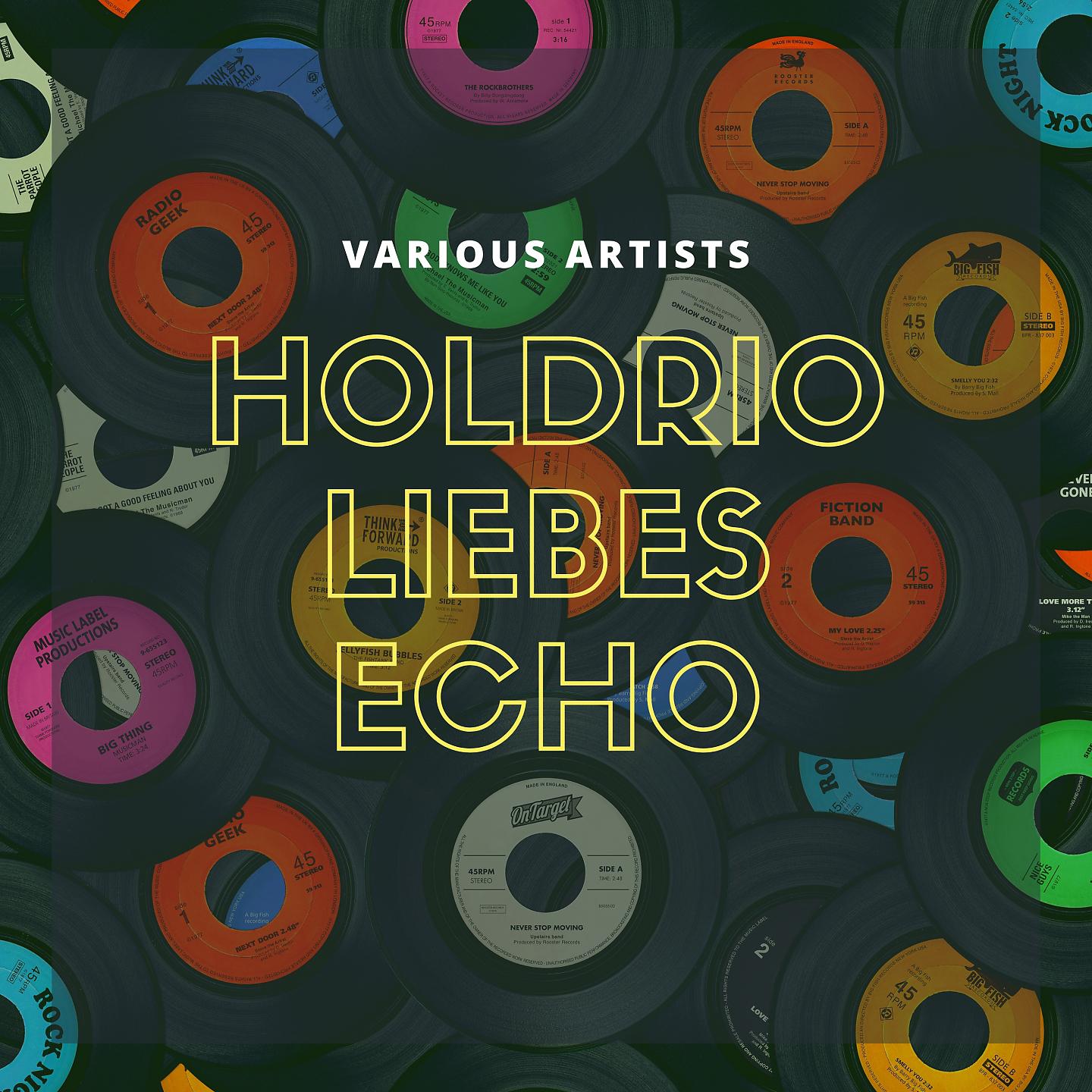 Постер альбома Holdrio liebes Echo