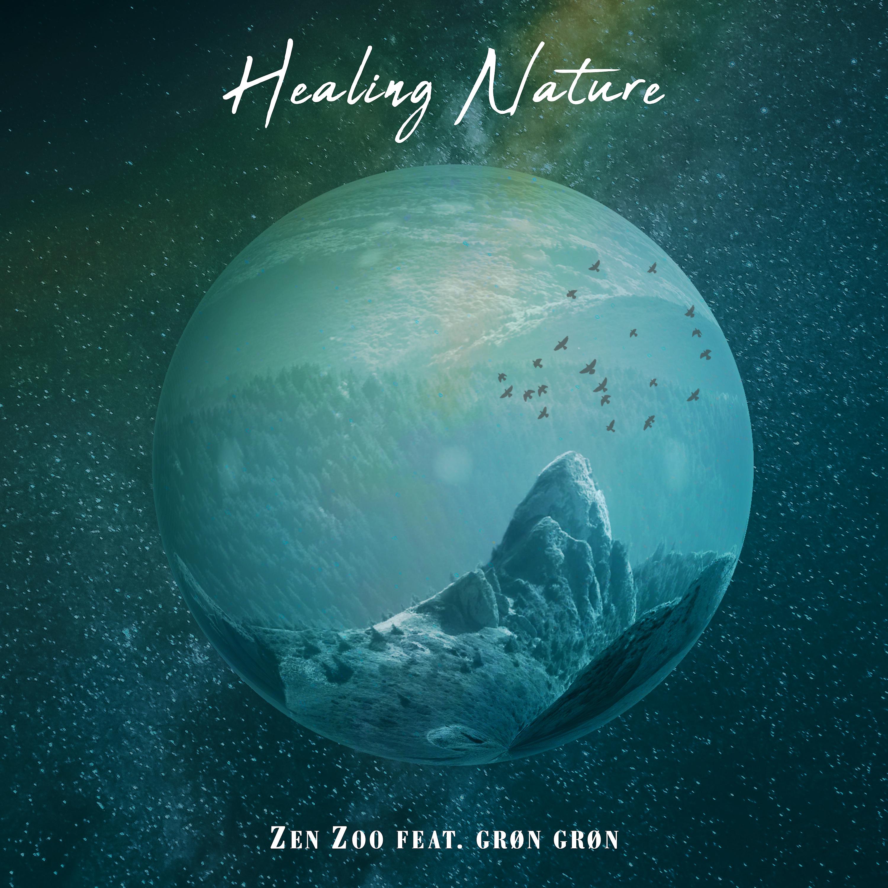 Постер альбома Healing Nature (Nature Edit)