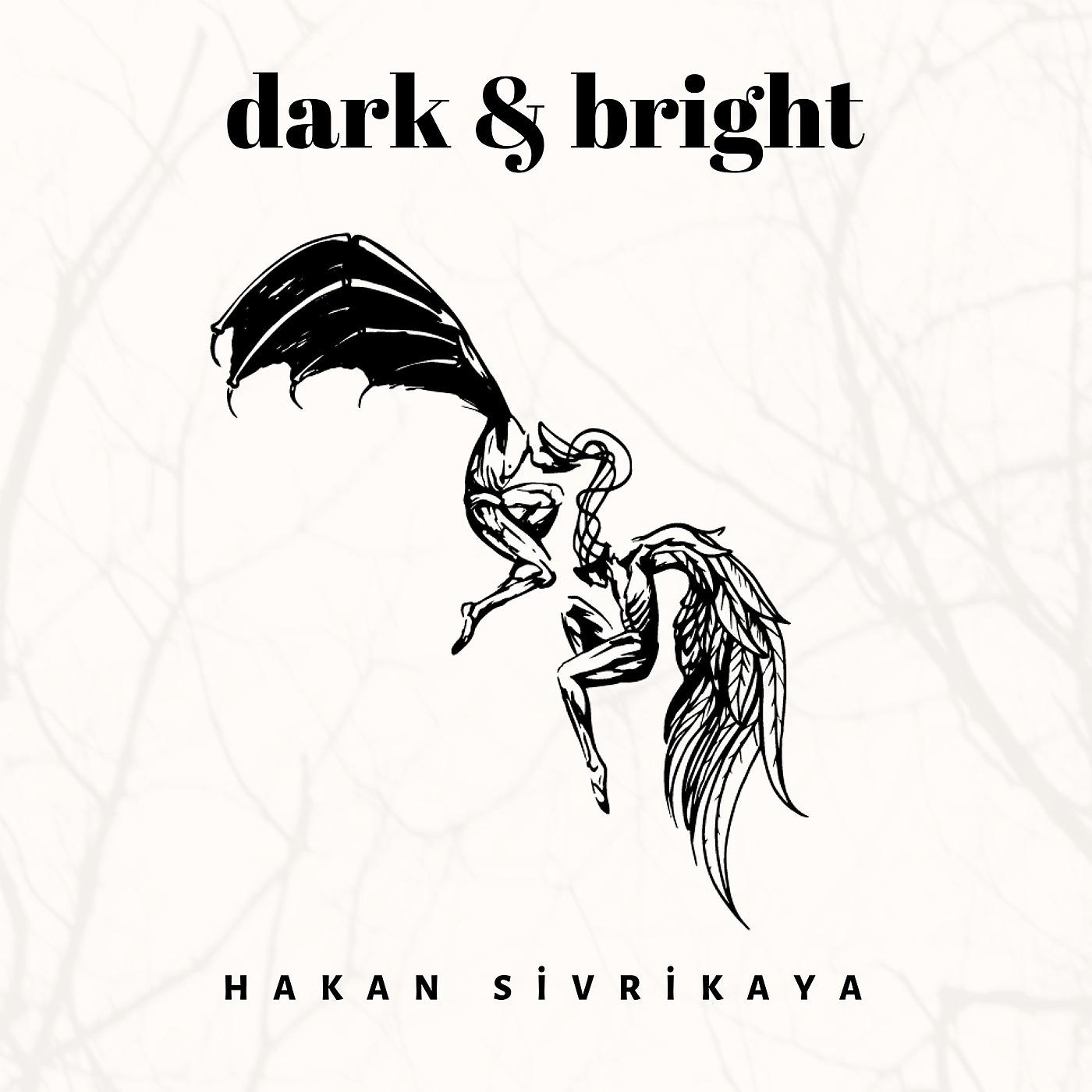 Постер альбома Dark & Bright