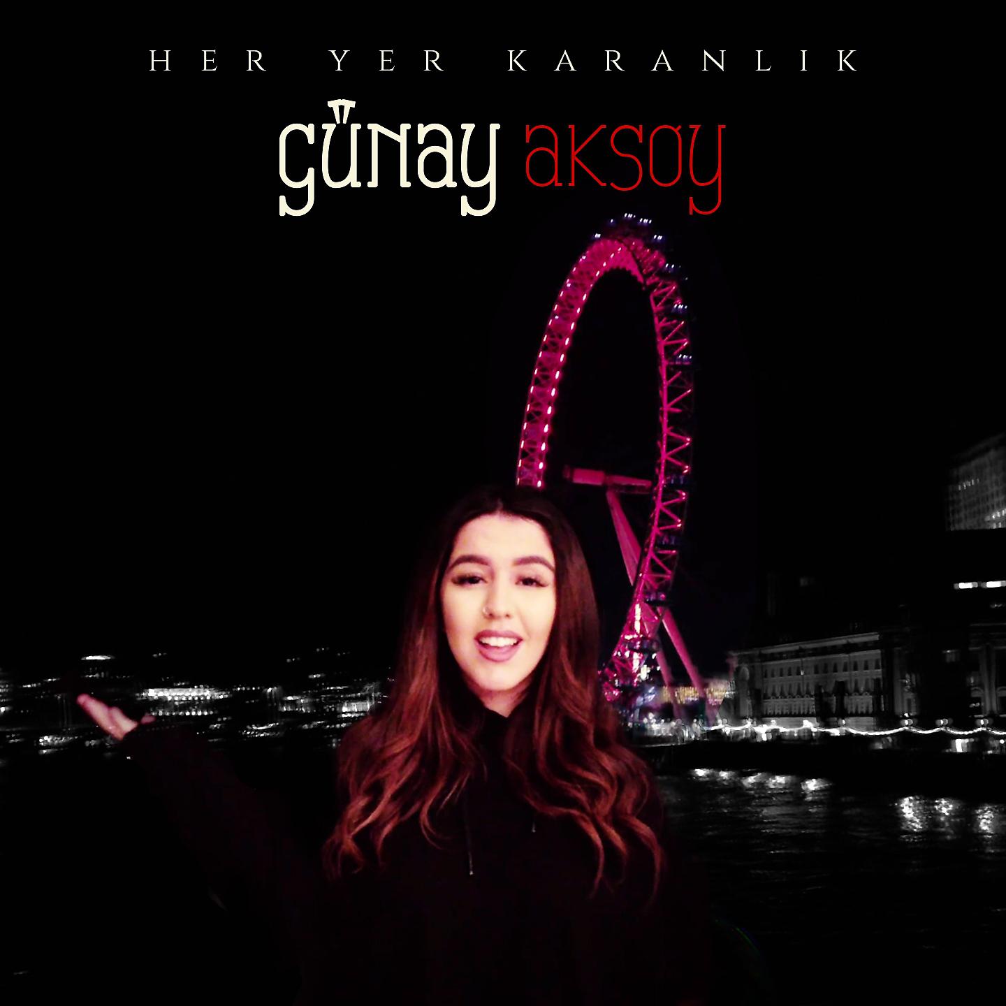 Постер альбома Her Yer Karanlık