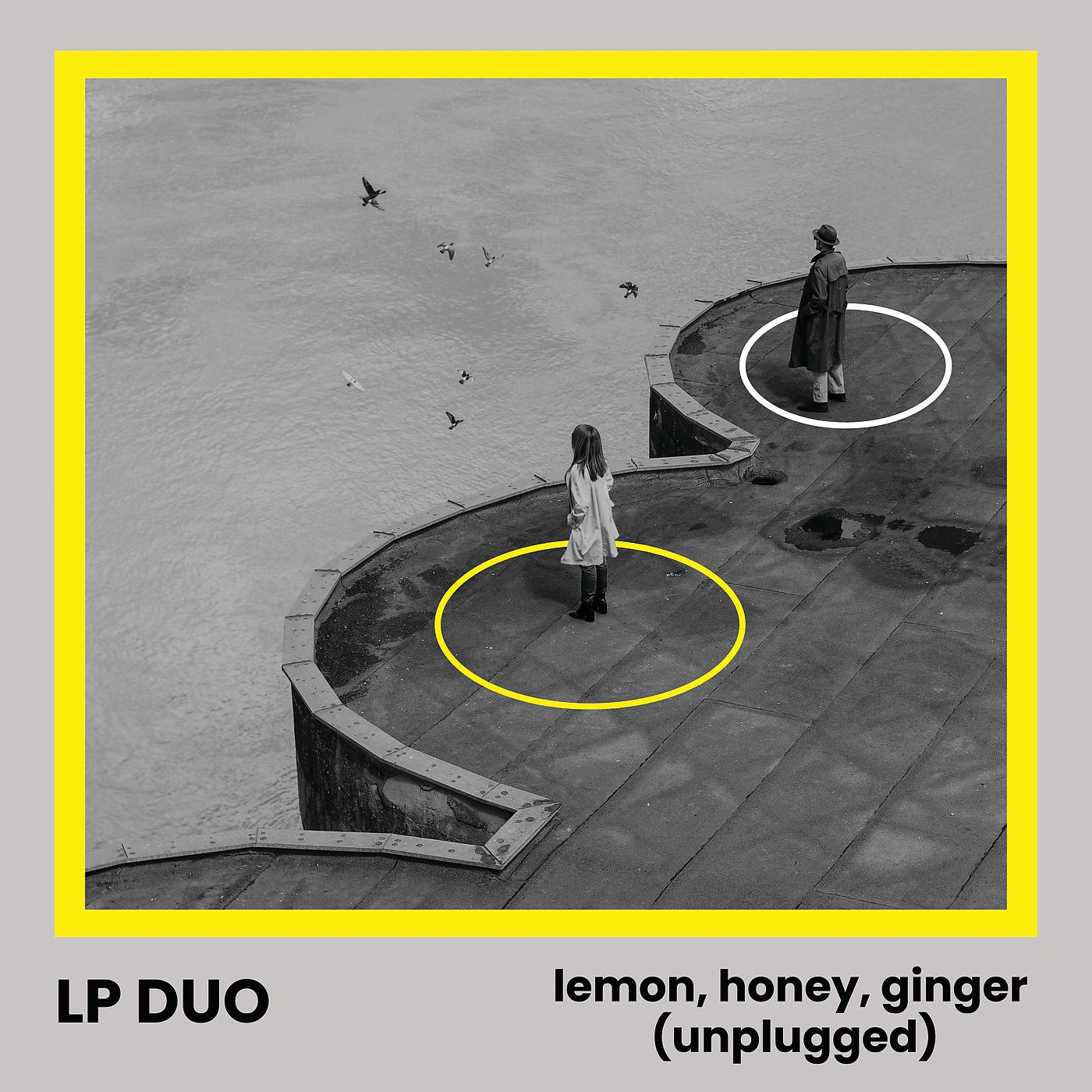 Постер альбома Lemon, Honey, Ginger (Unplugged)