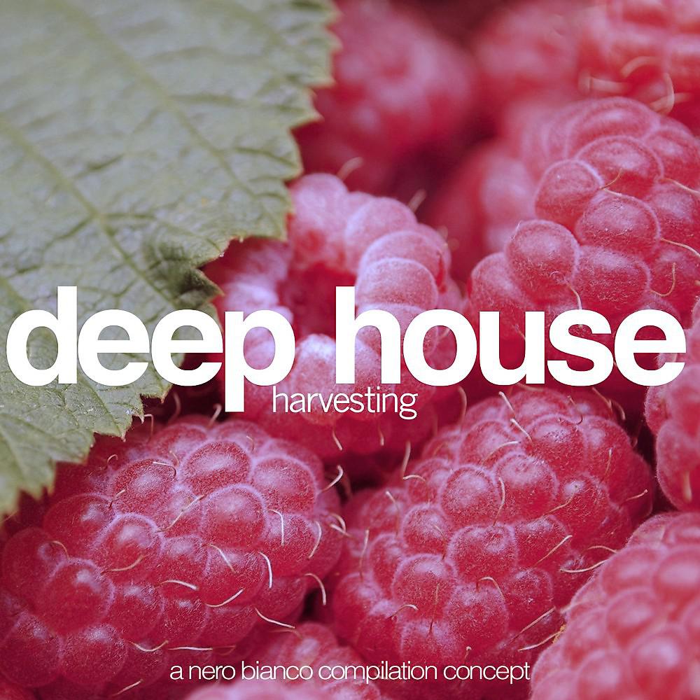 Постер альбома Deep House Harvesting