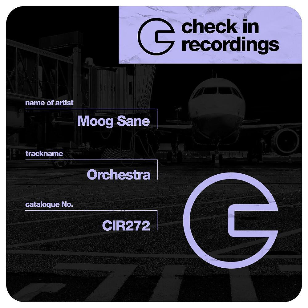 Moog Sane - Orchestra (Original Mix)