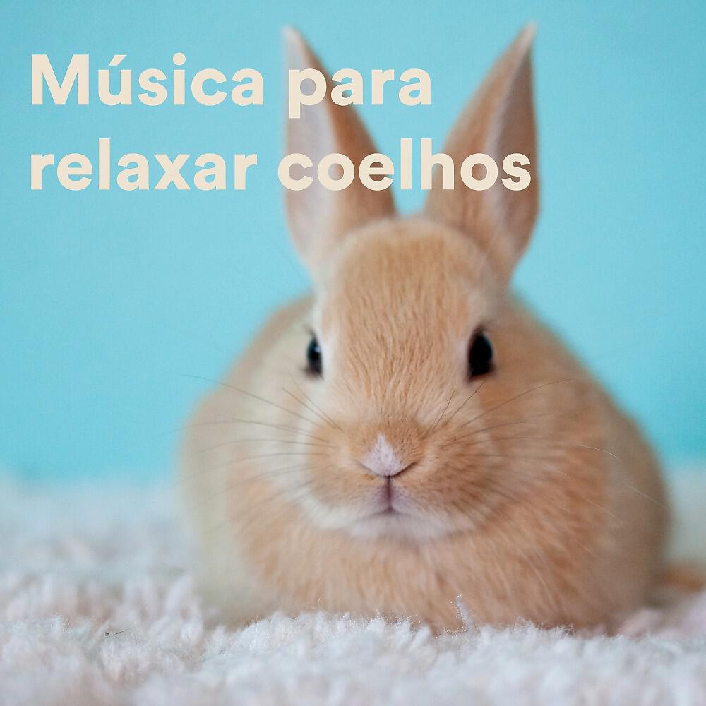 The Hamster Helper - Relaxing Sounds for Hamsters