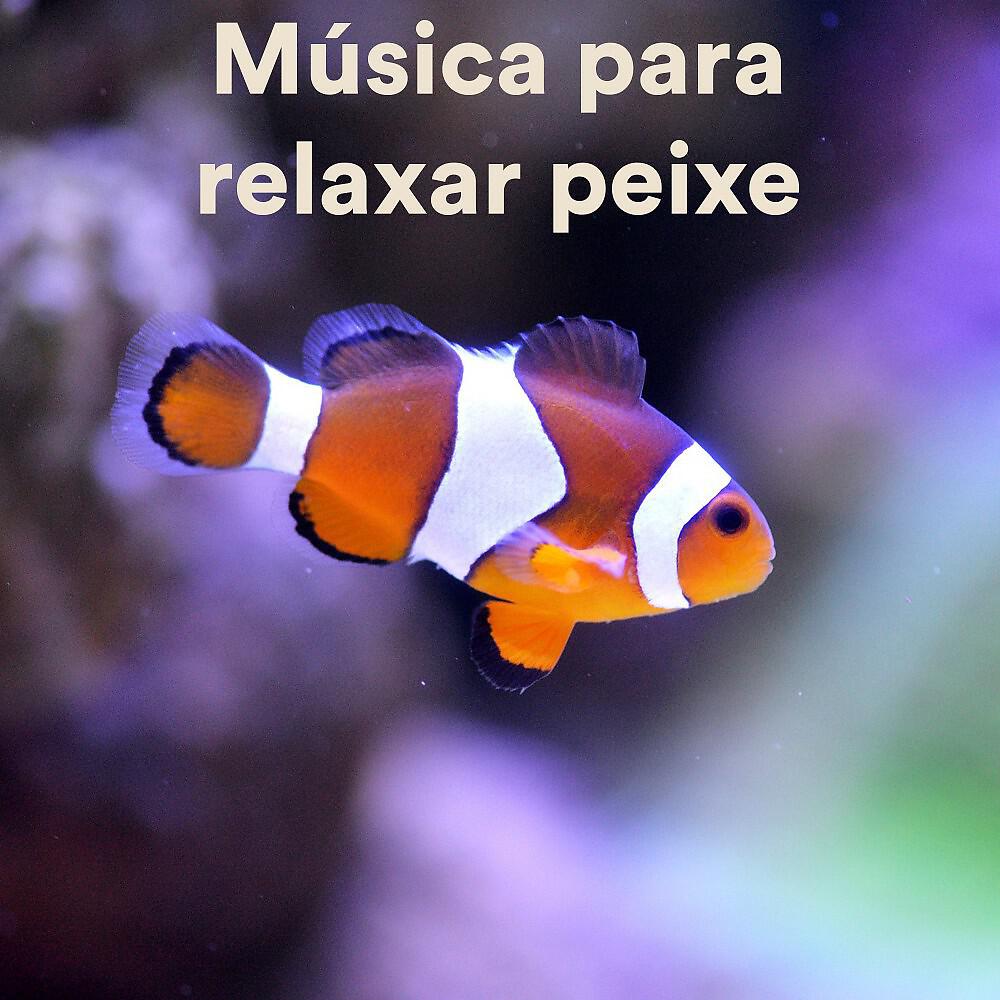 The Hamster Helper - Relax My Hamster