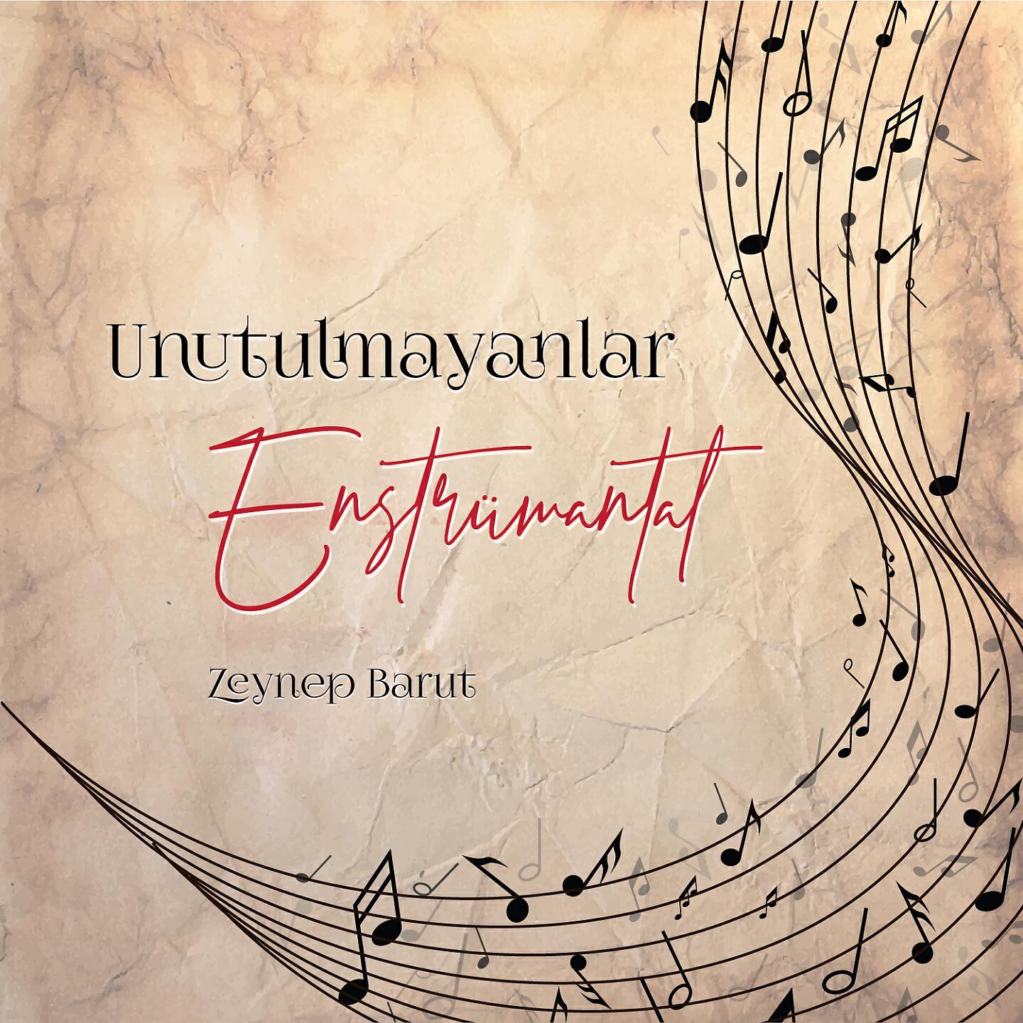 Zeynep Barut - Araz Üste Buz Üste