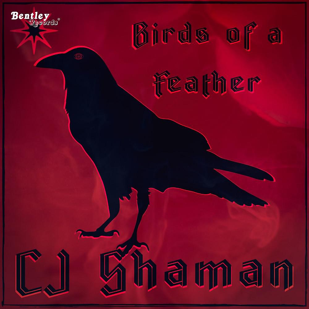 Постер альбома Birds of a Feather
