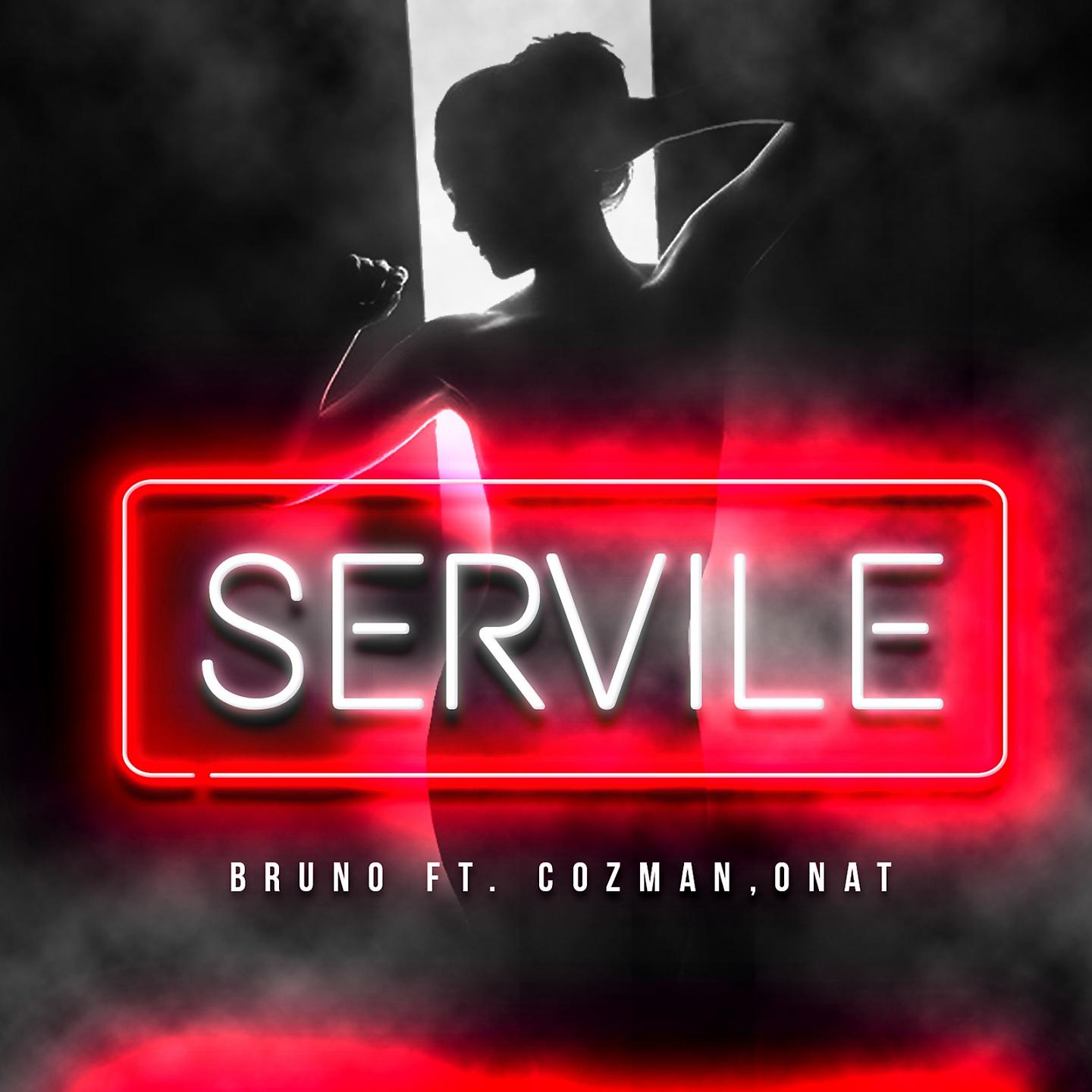 Постер альбома Servile