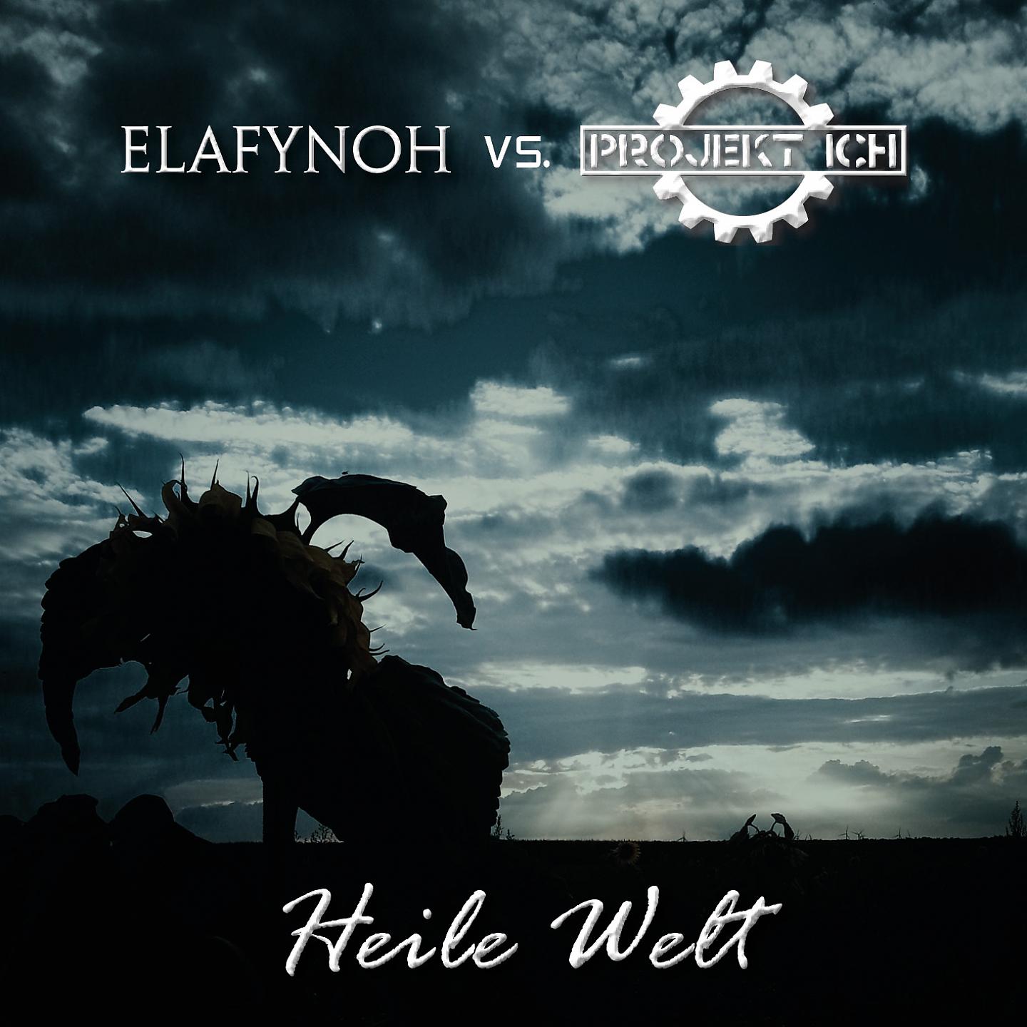 Постер альбома Heile Welt