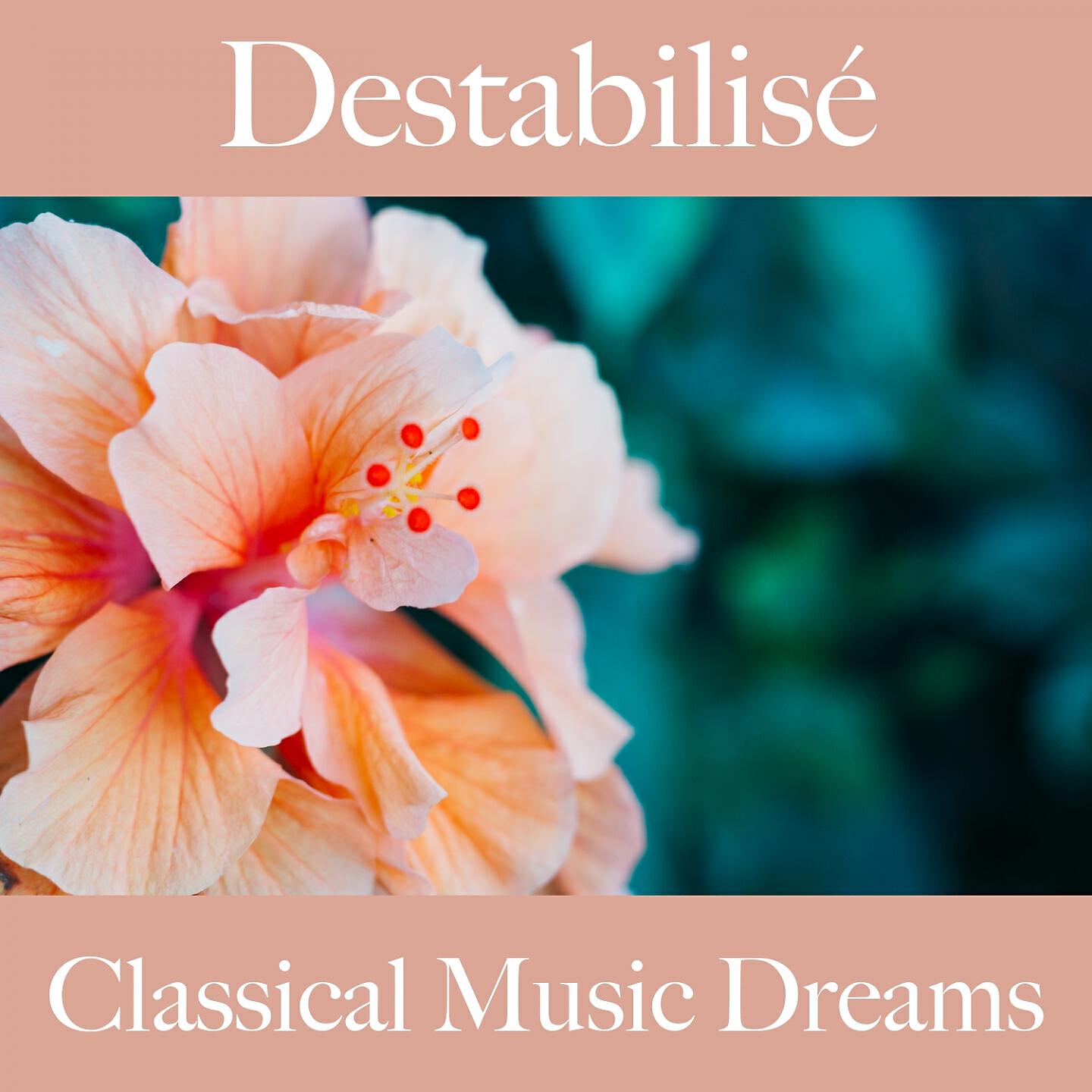 I Musici - The Four Seasons, Violin Concerto No. 4 in F Minor, RV 197 'L'inverno': II. Largo