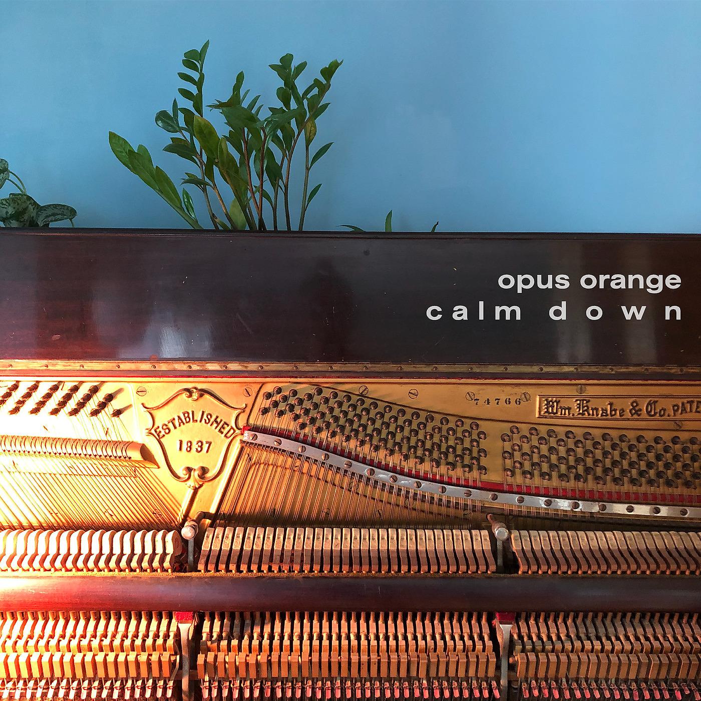 Постер альбома Calm Down (Piano)
