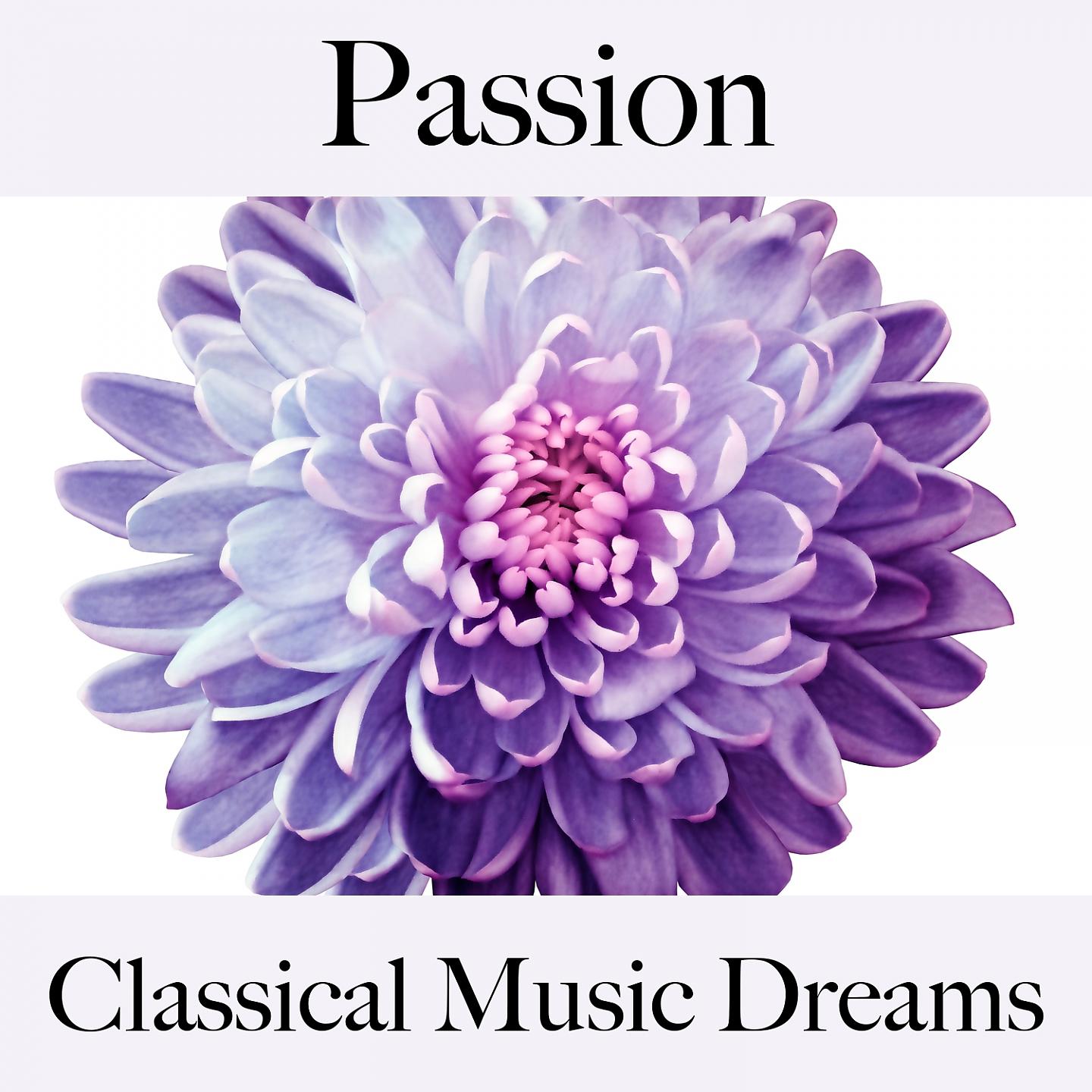 Постер альбома Passion: Classical Music Dreams - Pour Les Moments De Sensualité À Deux