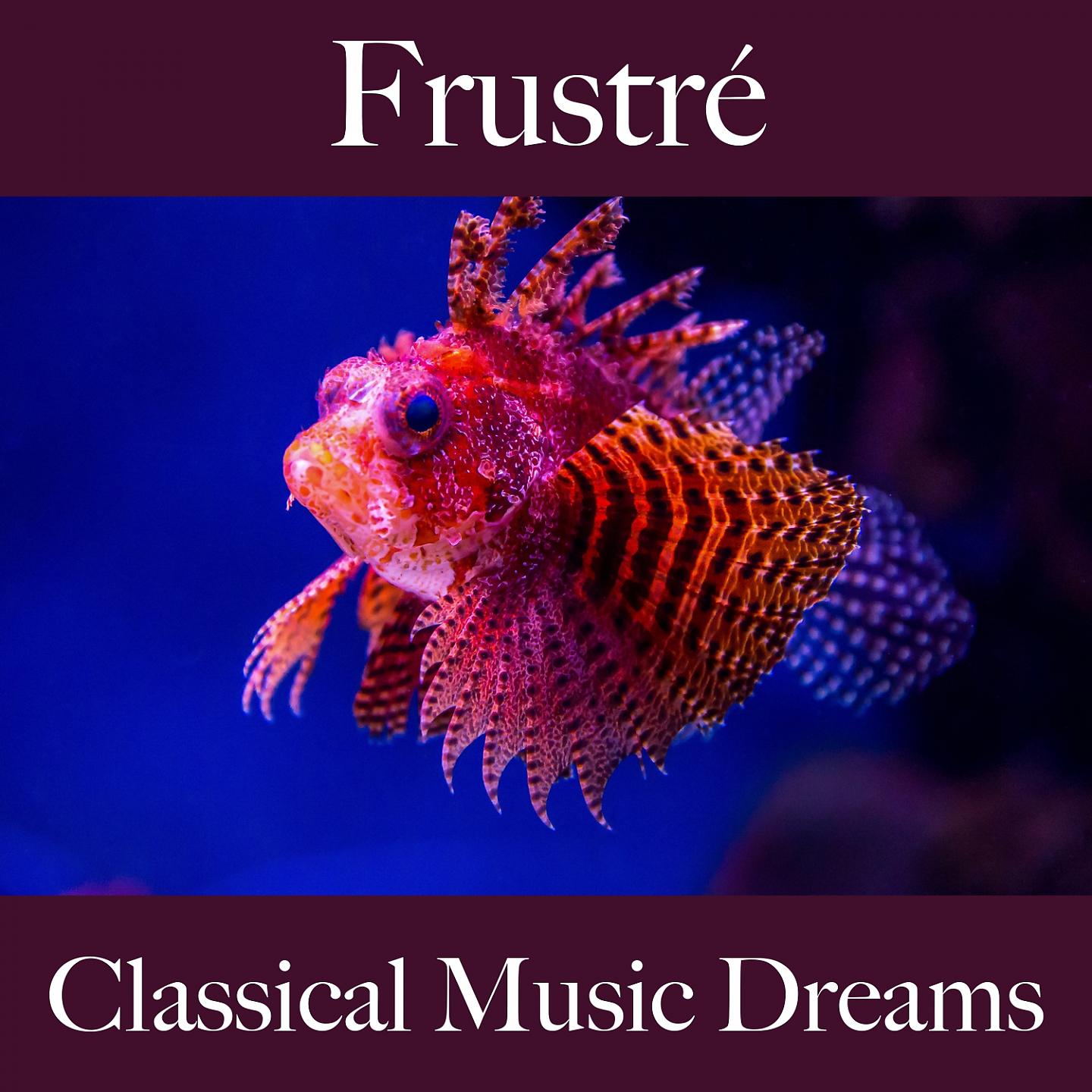 Постер альбома Frustré: Classical Music Dreams - La Meilleure Musique Pour Se Sentir Mieux