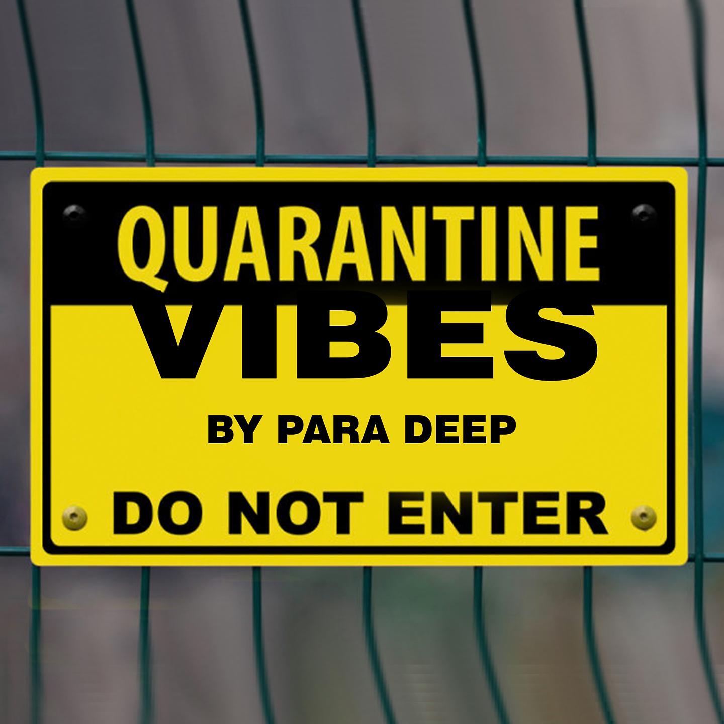 Постер альбома Quarantine Vibes