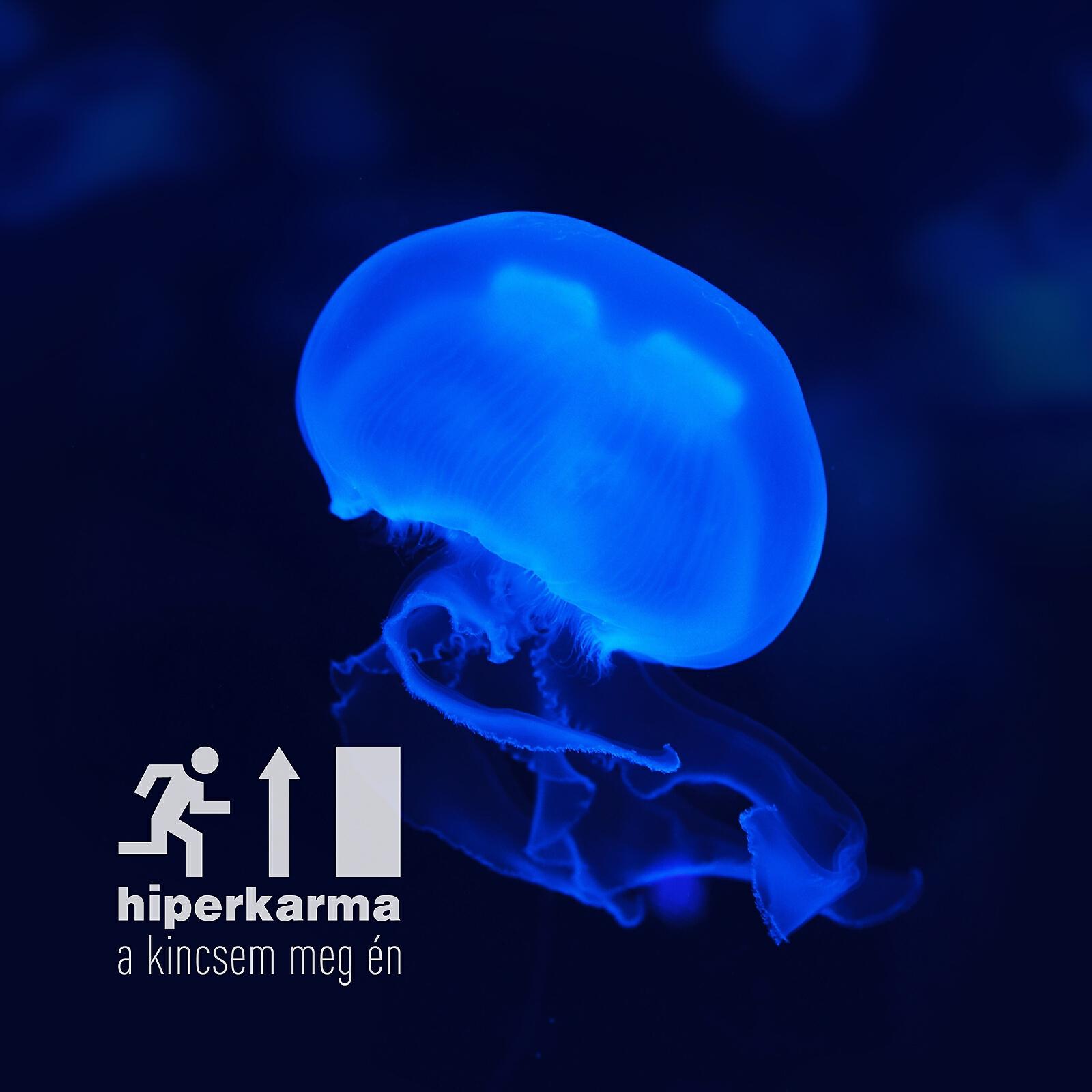 hiperkarma - A kincsem meg én