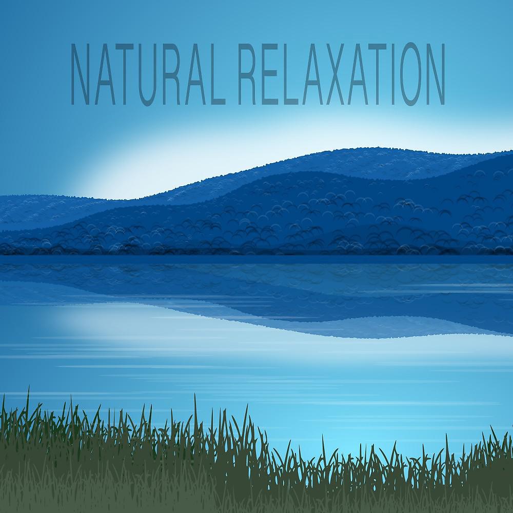 Постер альбома Natural Relaxation