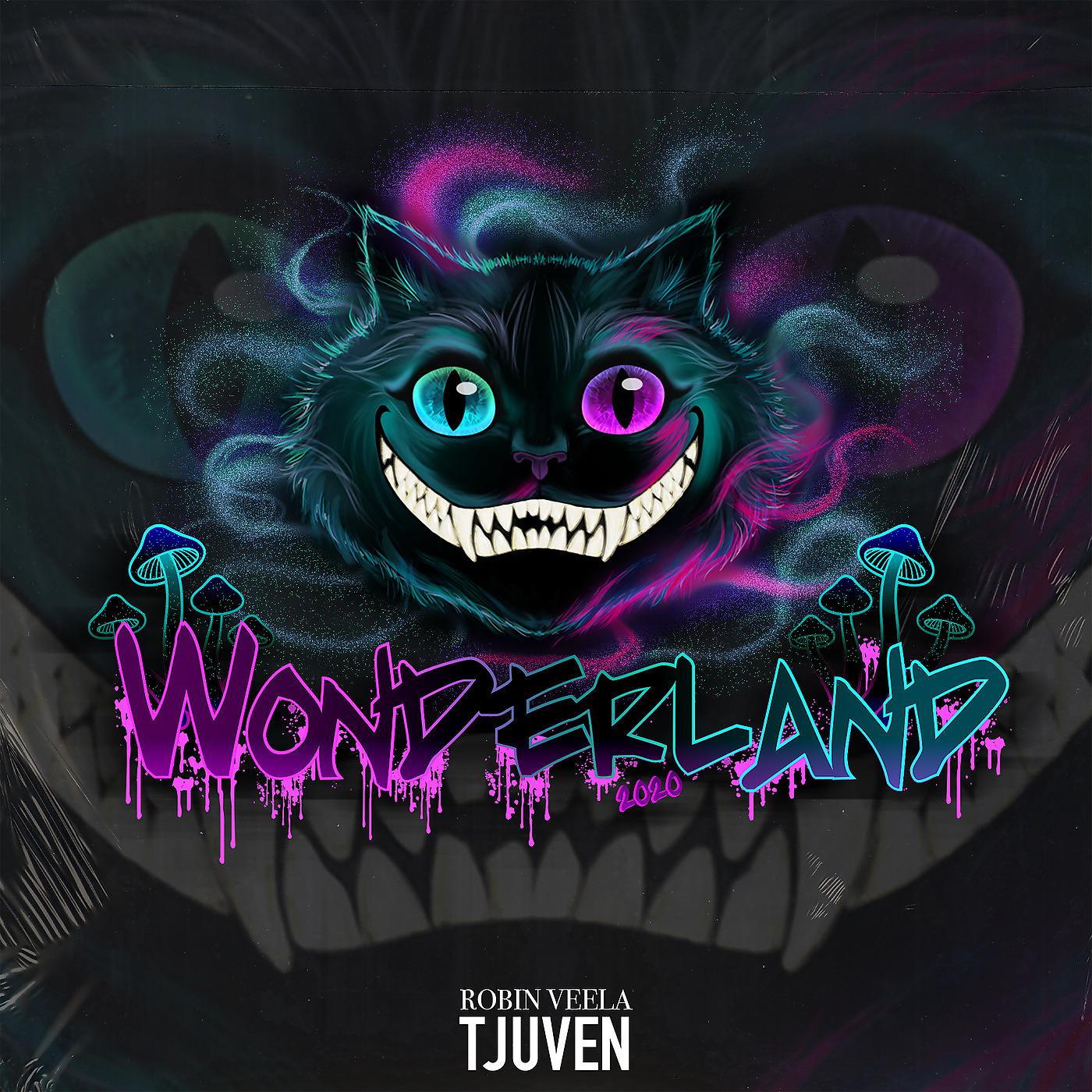 Постер альбома Wonderland 2020