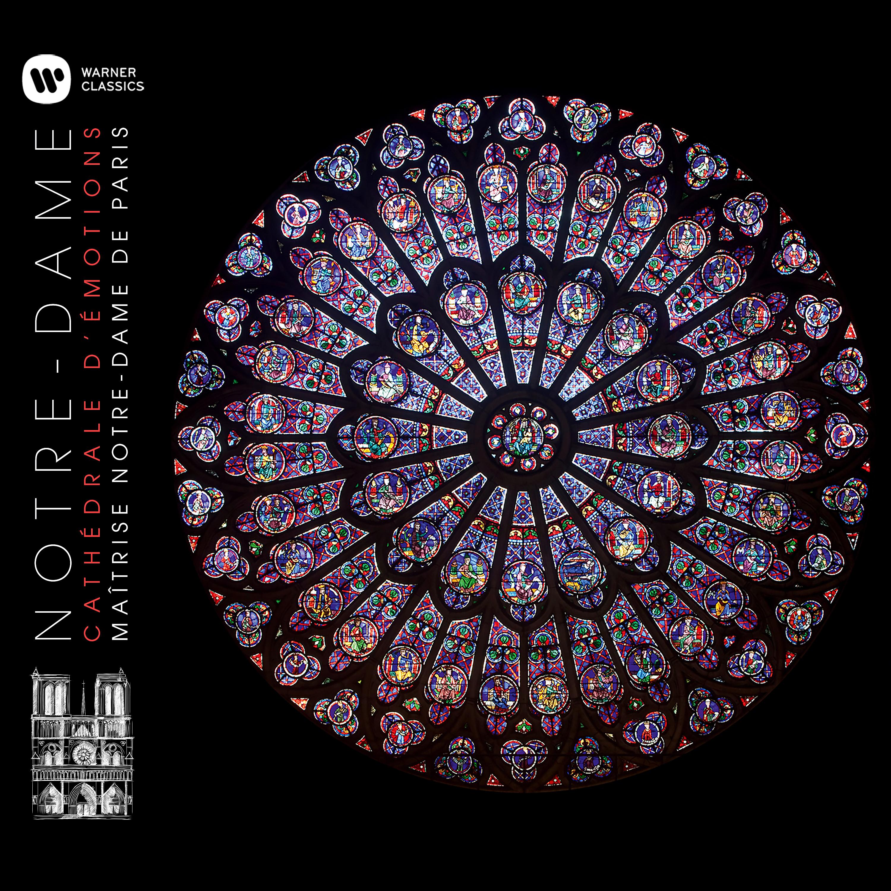 Постер альбома Notre-Dame - Cathédrale d'émotions