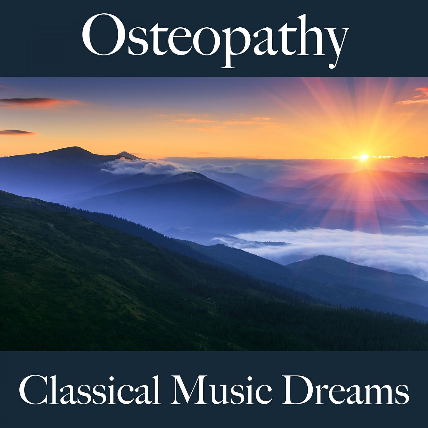 Chicago Symphony Orchestra - The Song of the Earth: VI. The Farewell