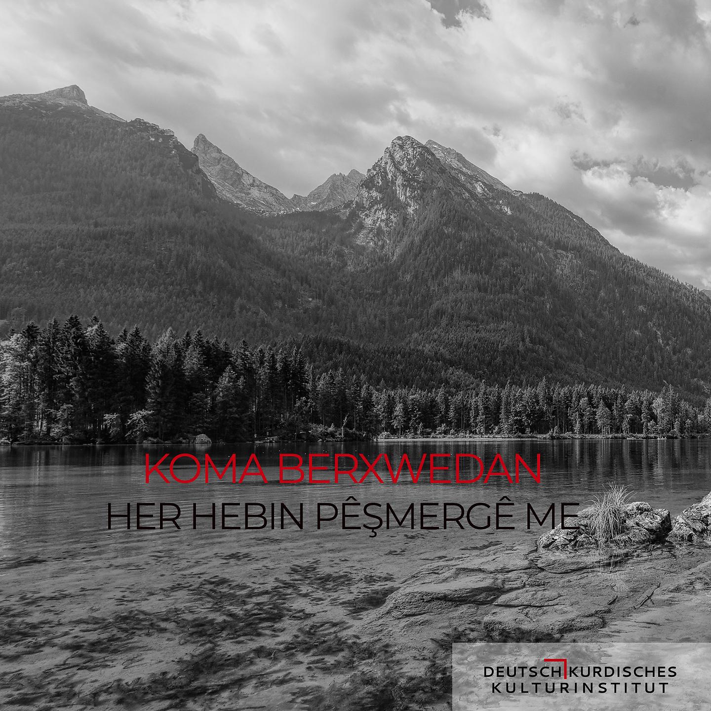 Постер альбома Her Hebin Pêşmergê Me