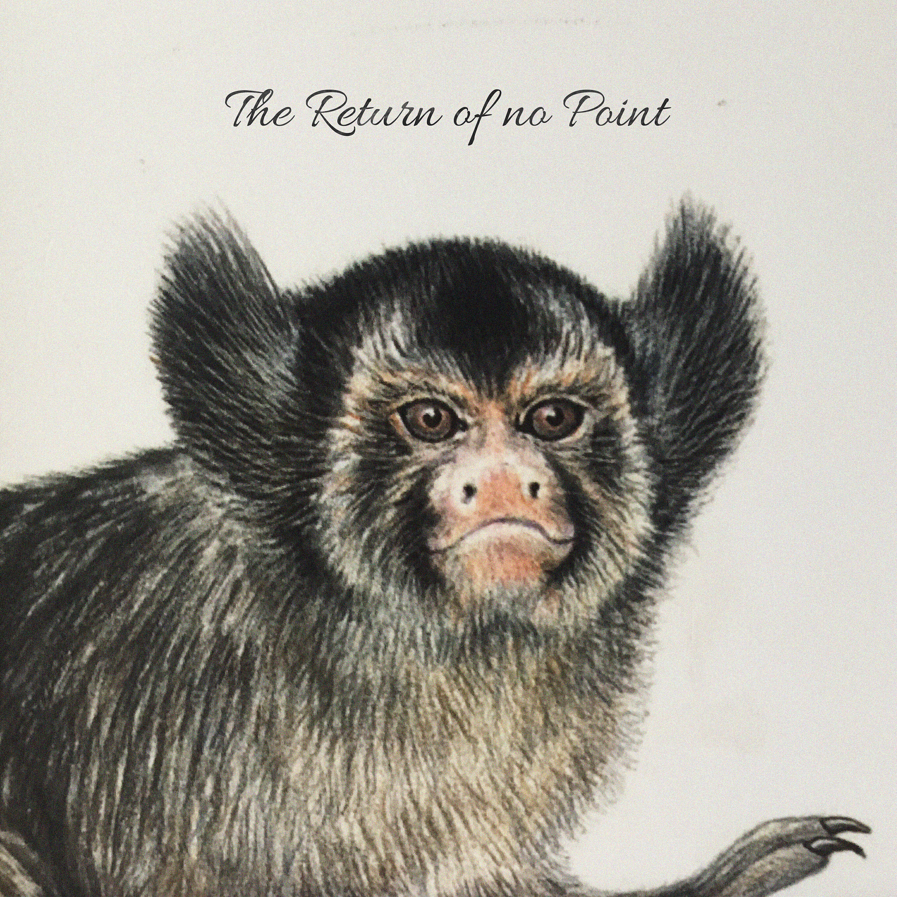 My Name Is Ian - I've Never Seen a Badger That Looks Like That