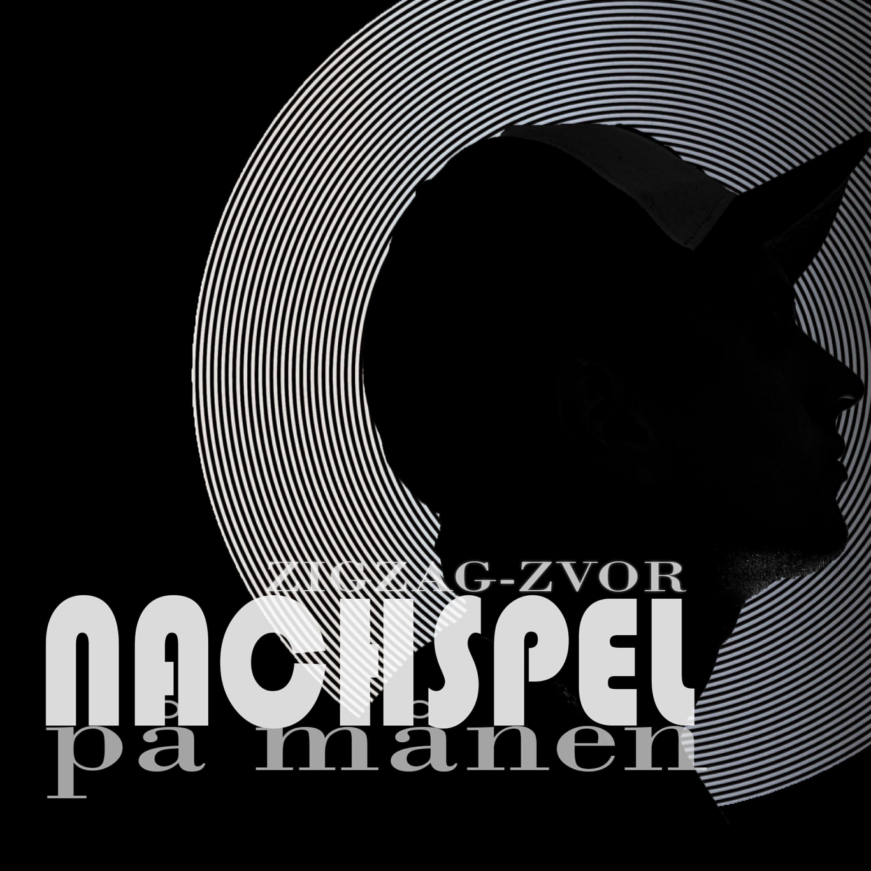 ZigZag-Zvor - Nachspel På Månen (2012)