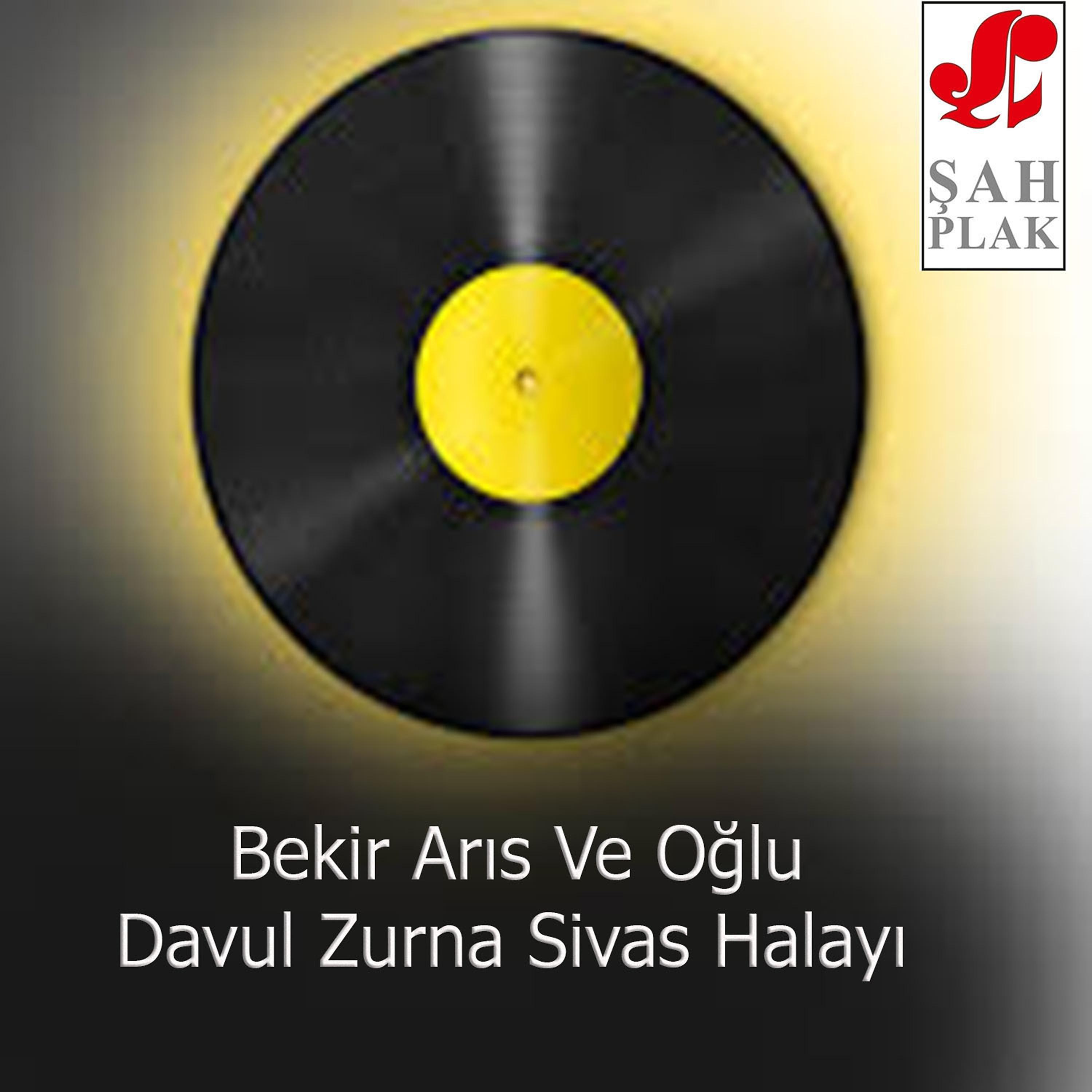 Постер альбома Davul Zurna Sivas Halayı