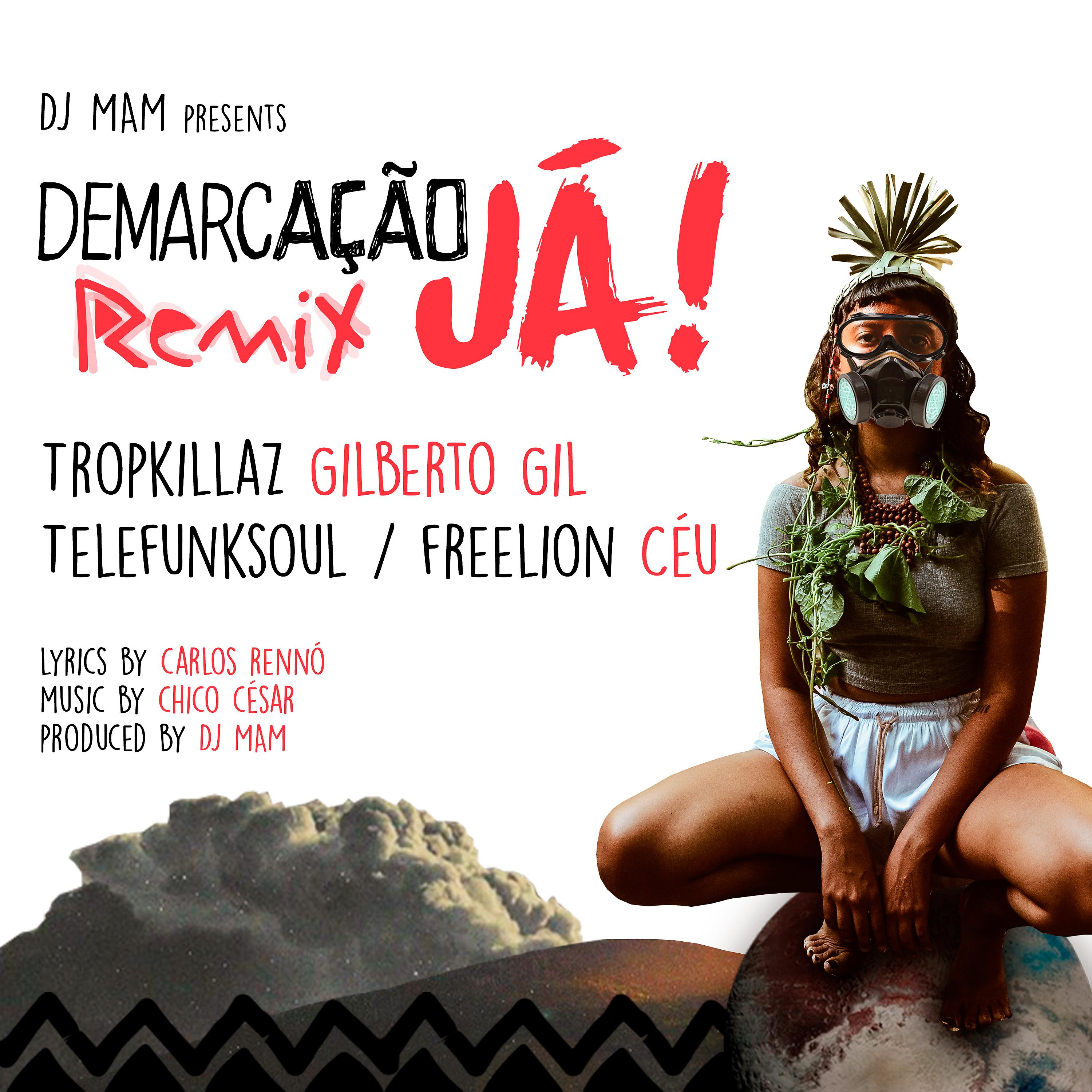 Постер альбома Demarcação Já (Remix)