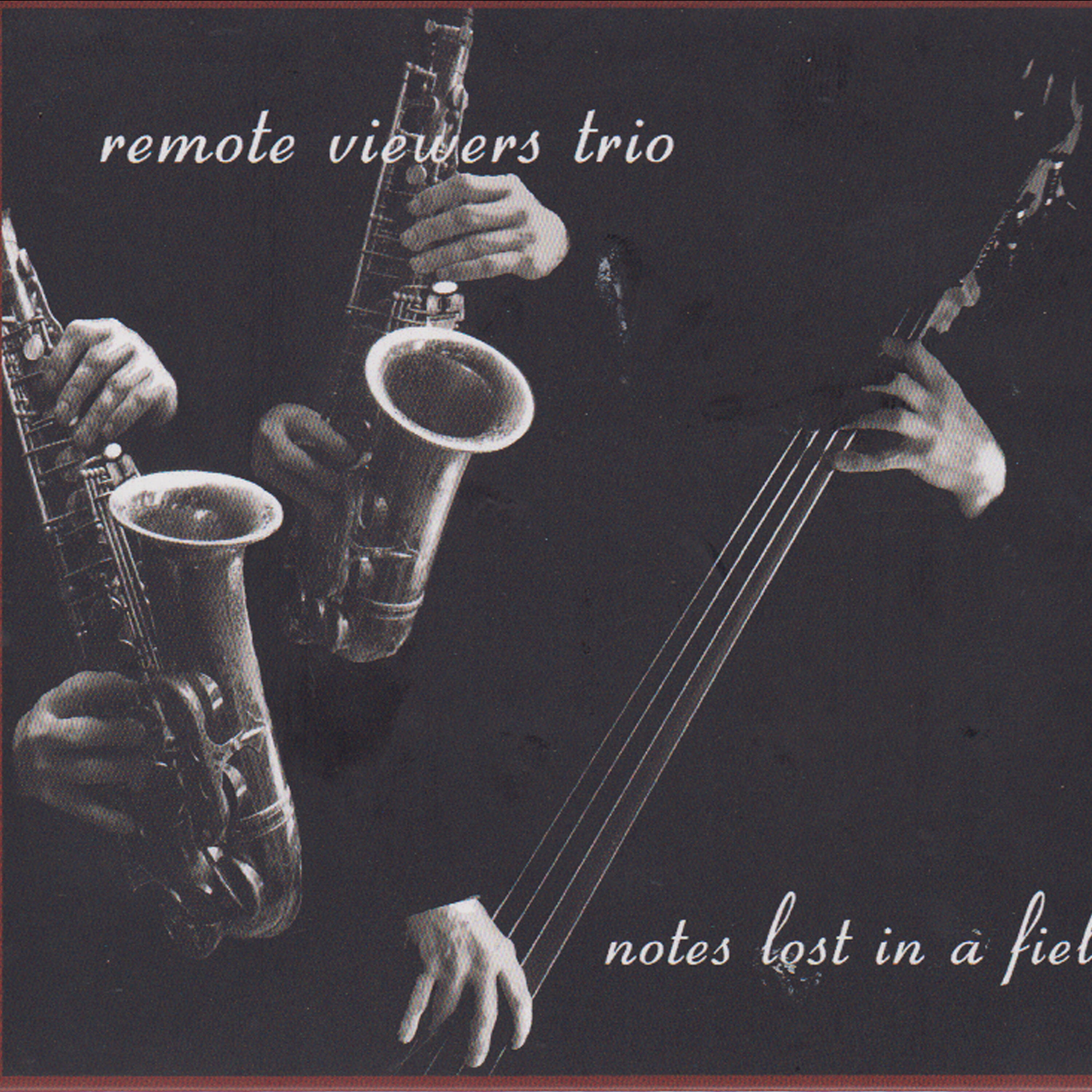 Remote Viewers Trio - You Won't Hear the Bullets