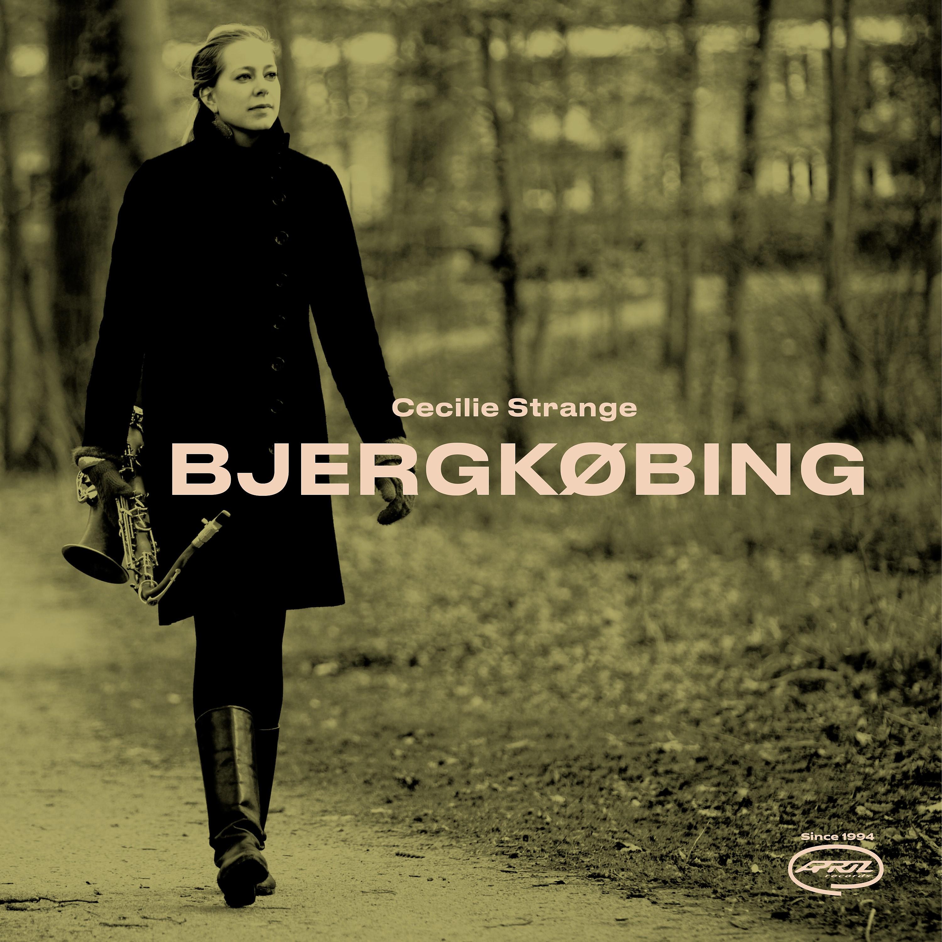 Постер альбома Bjergkøbing