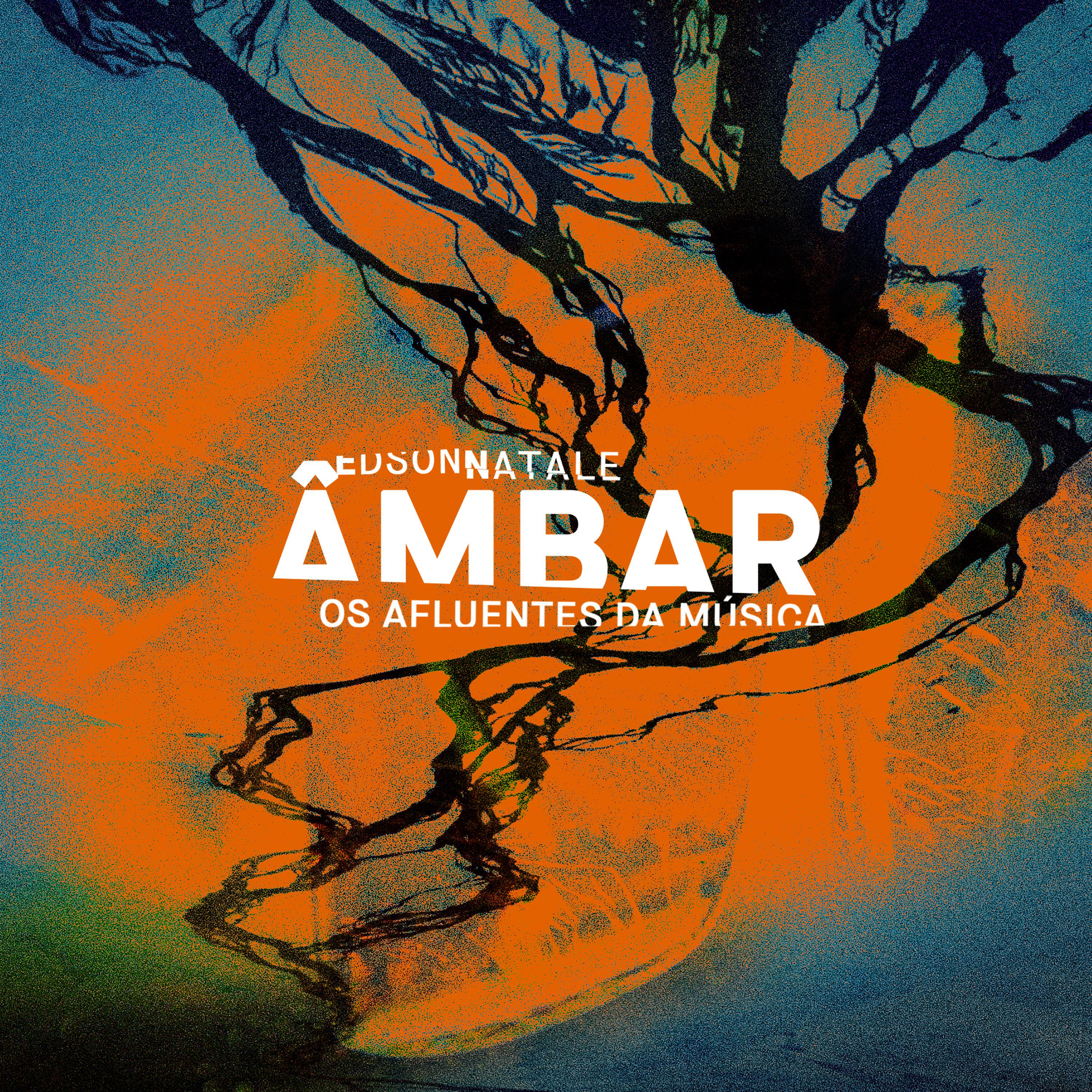 Постер альбома Âmbar - Os Afluentes da Música
