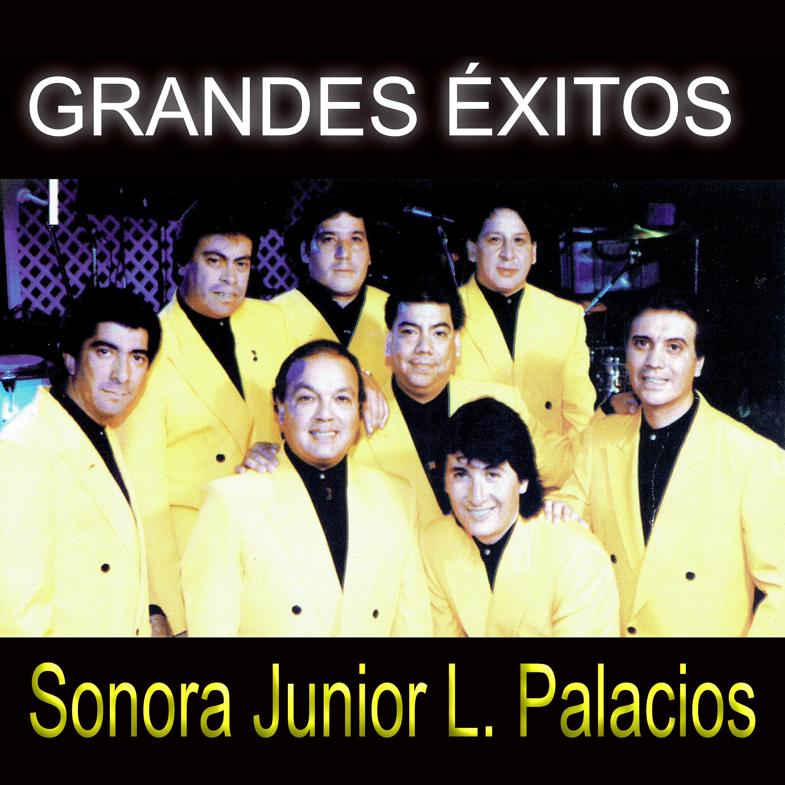 Sonora Junior L. Palacios - Traidora