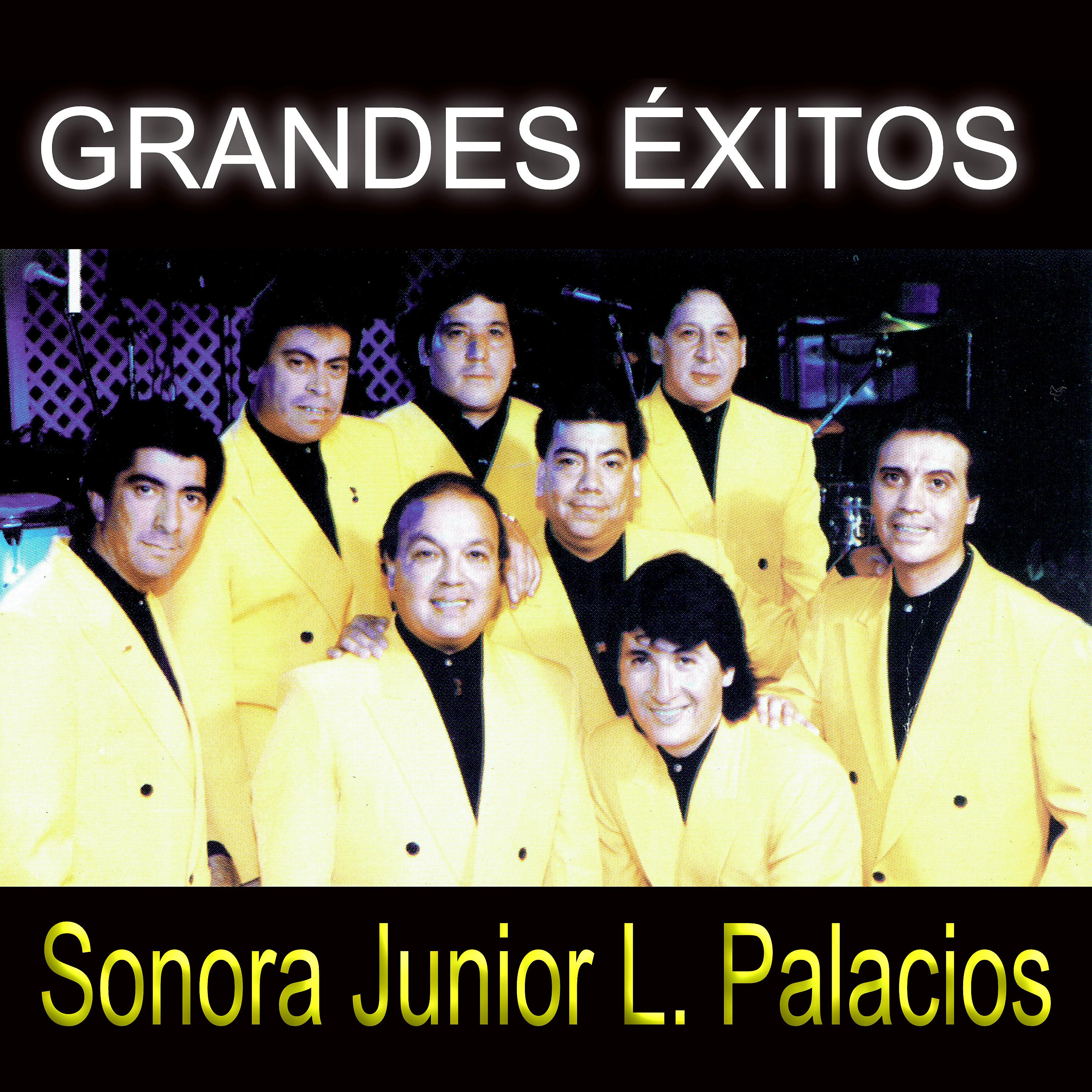 Sonora Junior L. Palacios - El Poncho / Candombe para José / al Amanecer