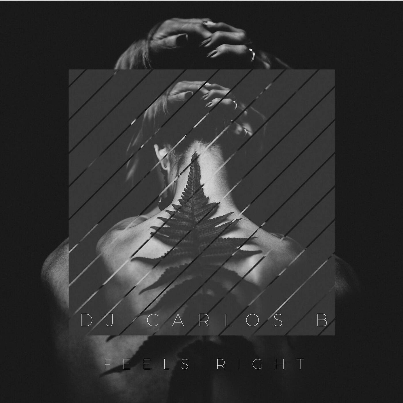 DJ CARLOS B - Feels Right