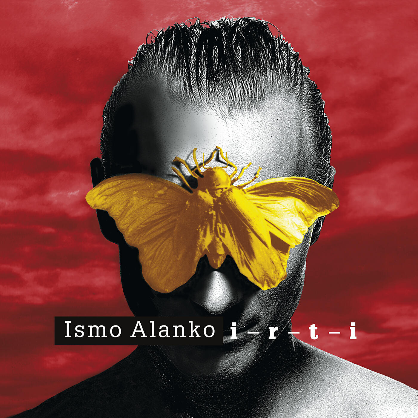 Ismo Alanko - Lokki