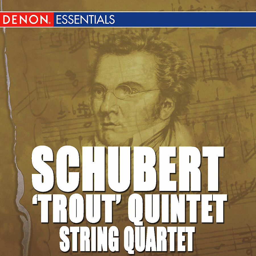 Caspar Da Salo Quartet - Quintet for Piano D. 667 