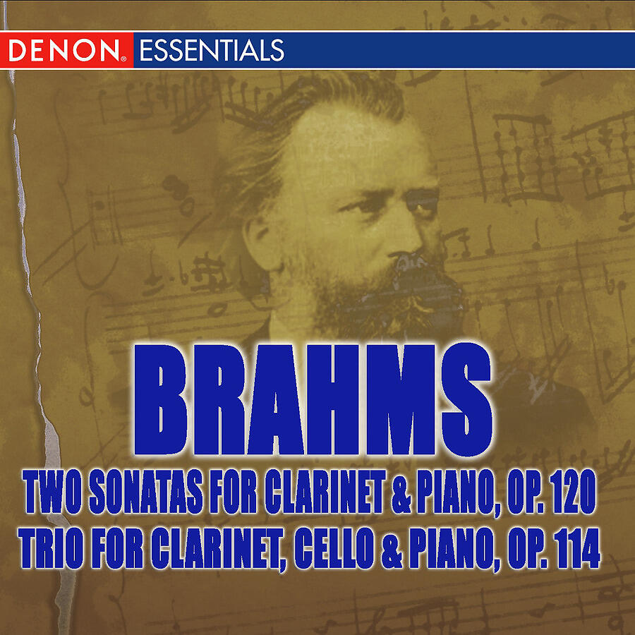 Bamberg Trio - Trio for Clarinet, Cello, and Piano in A Minor, Op. 114: I. Allegro